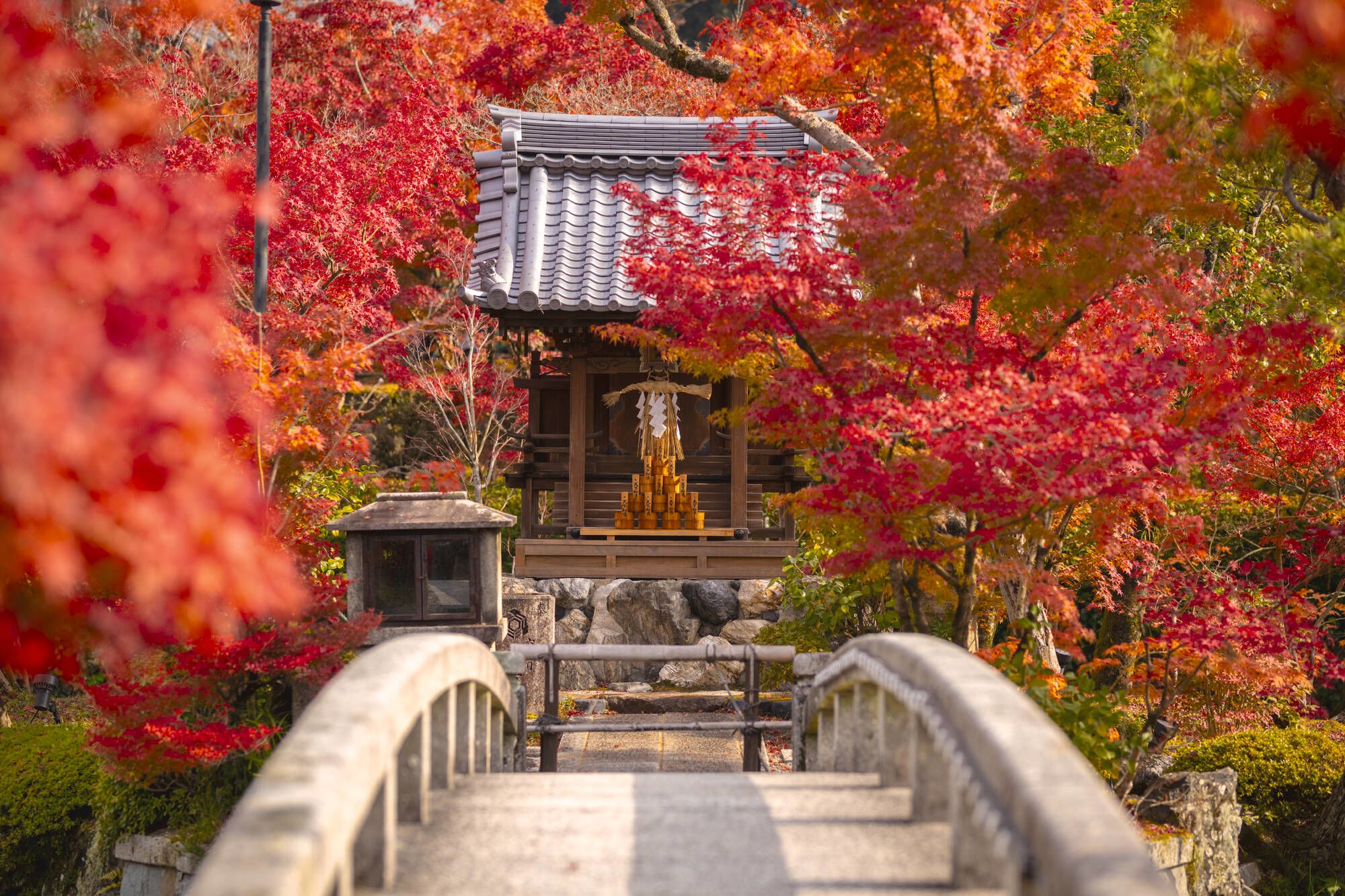 Japan auf neuen Wegen ab Tokio: Eikan-do Zenrinji shrine in Kyoto