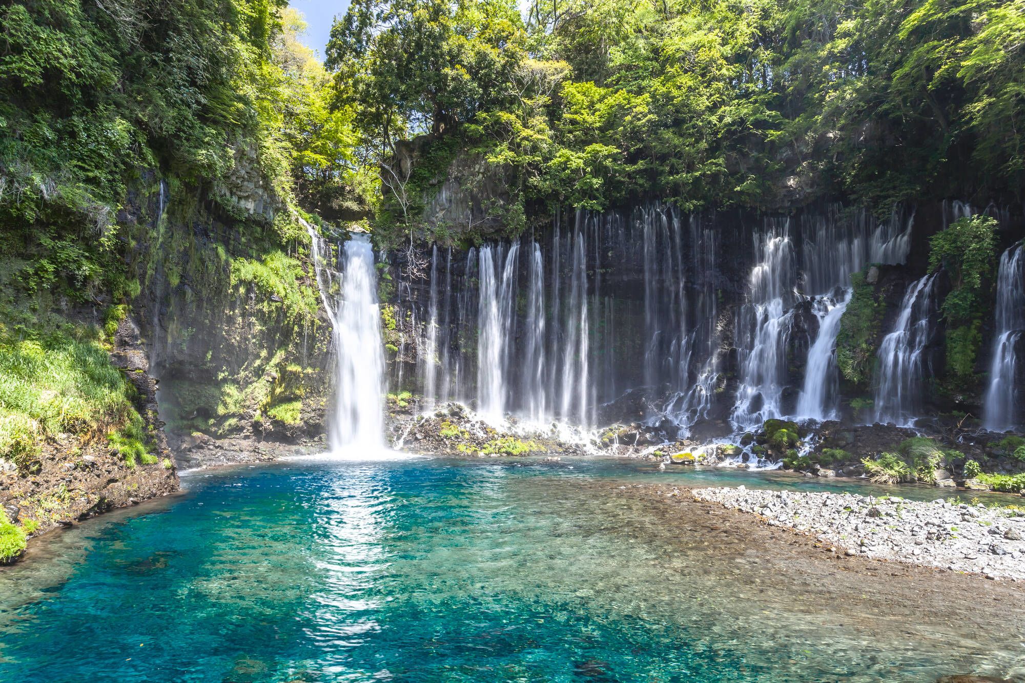 Circuit en voiture de location «Péninsule d’Izu» de Tokyo: Shiraito Falls