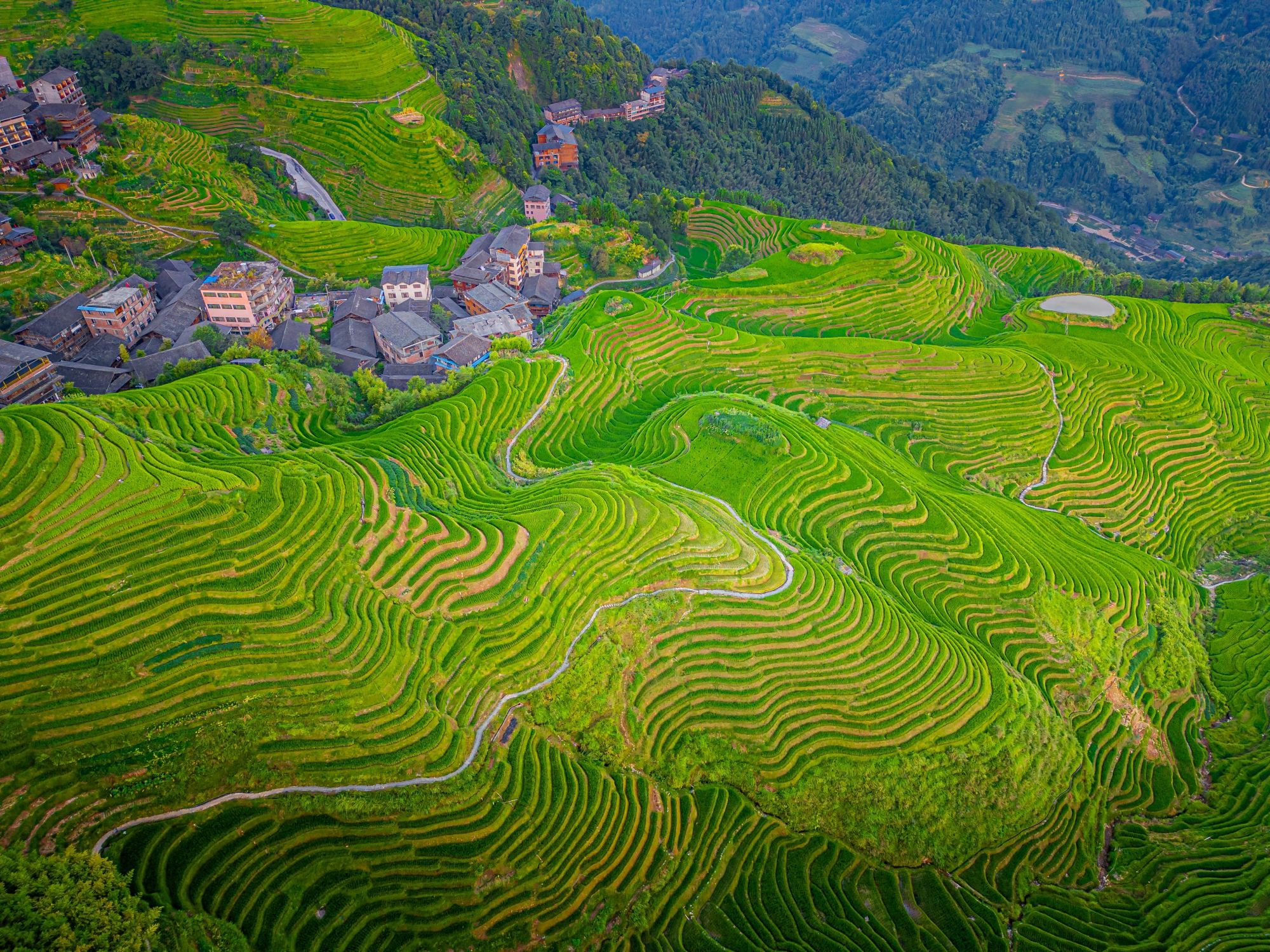 Les hauts lieux de la Chine de Pékin: Longsheng