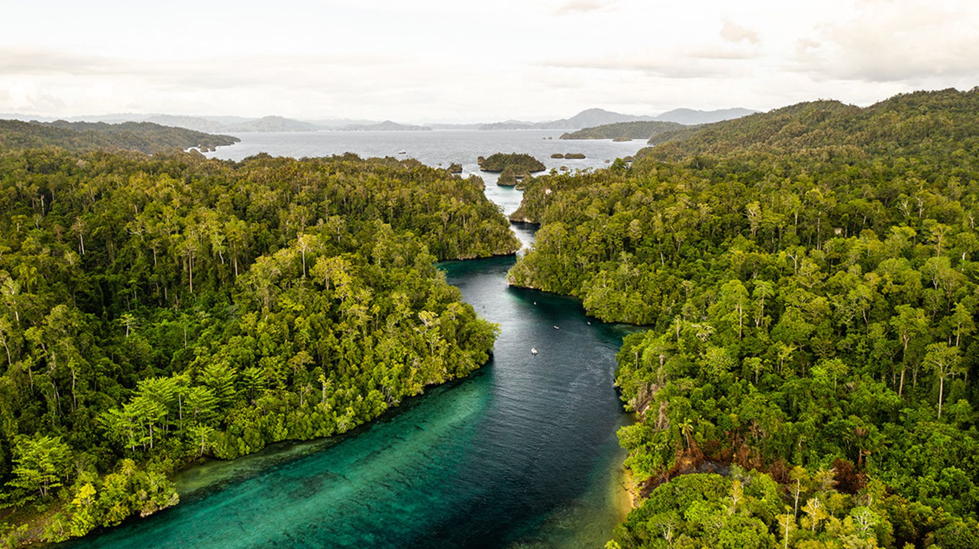 Raja Ampat avec style – Croisière à travers le paradis insulaire préservé de Sorong: Aqua Blu | Raja Ampat