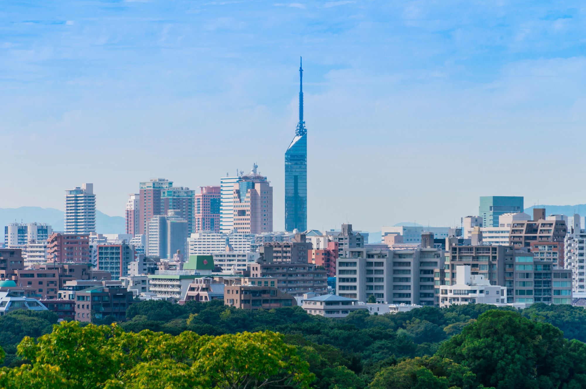 Circuit en voiture de location «Kyushu sauvage» de Fukuoka: Stunning view of Fukuoka city with Fukuoka tower