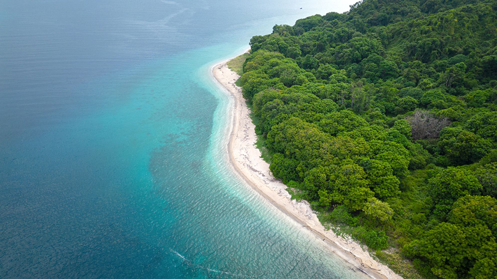 Croisière de rêve au cœur des Moluques de Ambon: Aqua Blu | Island