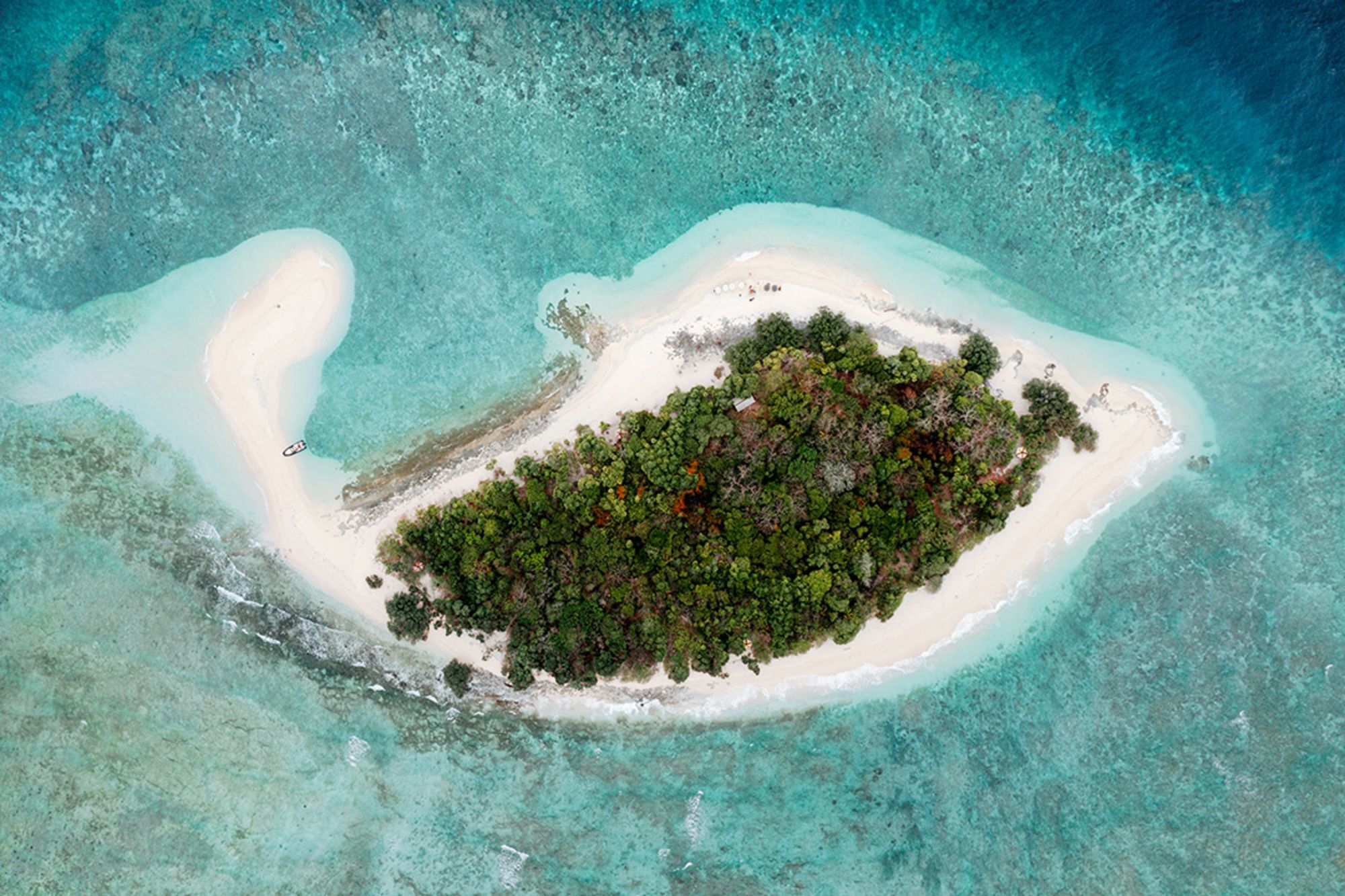 Croisière de rêve au cœur des Moluques de Ambon: Aqua Blu | Spice Islands