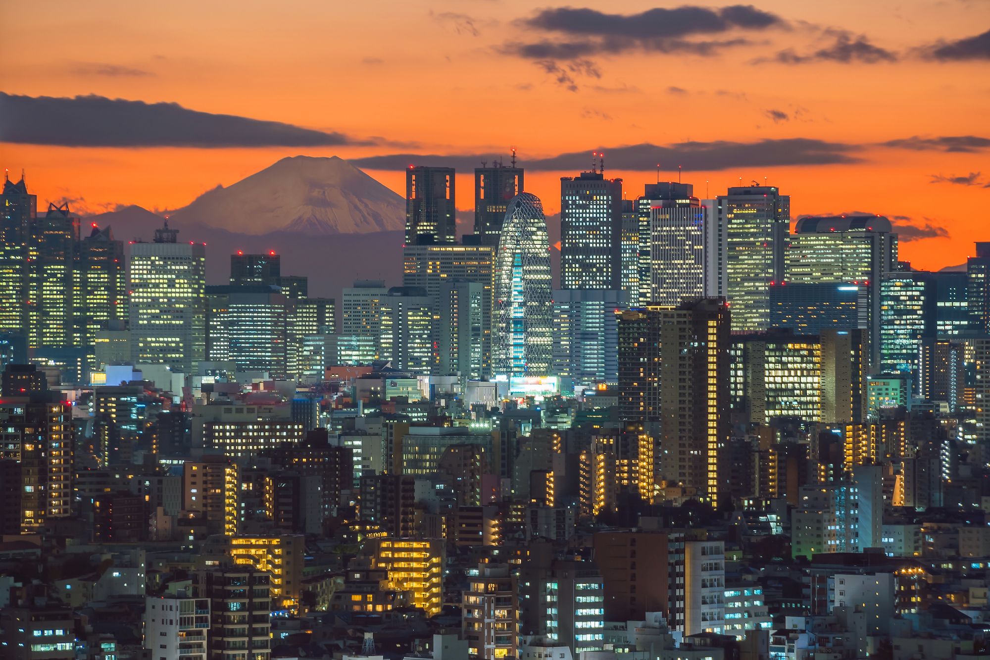 Circuit en groupe «Bonsai» de Kyoto: Tokyo - Top view of city skyline (Shinjuku area) and Mt. Fuji