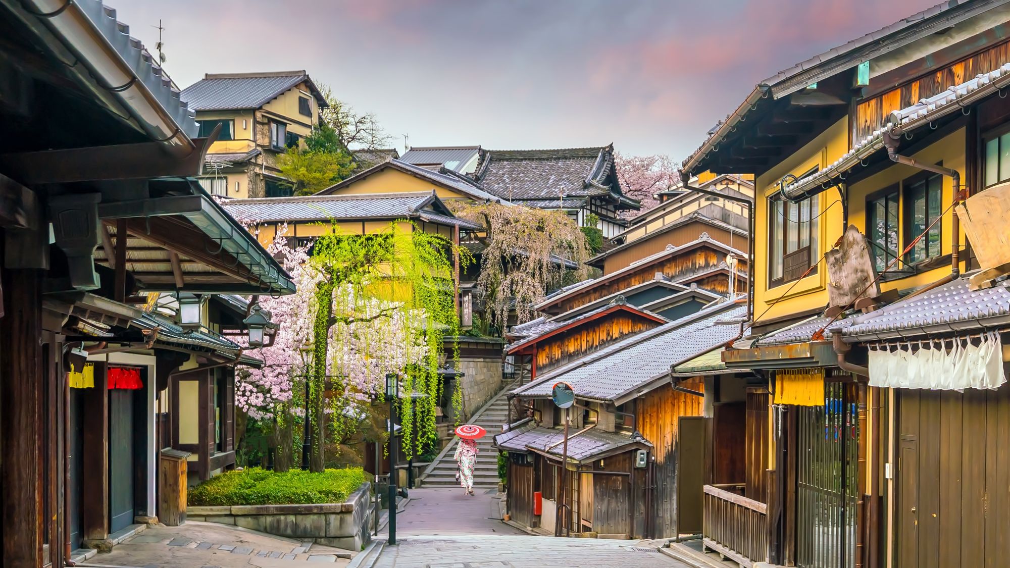 Circuit en groupe «Bonsai» de Kyoto: Kyoto - old town during Sakura season