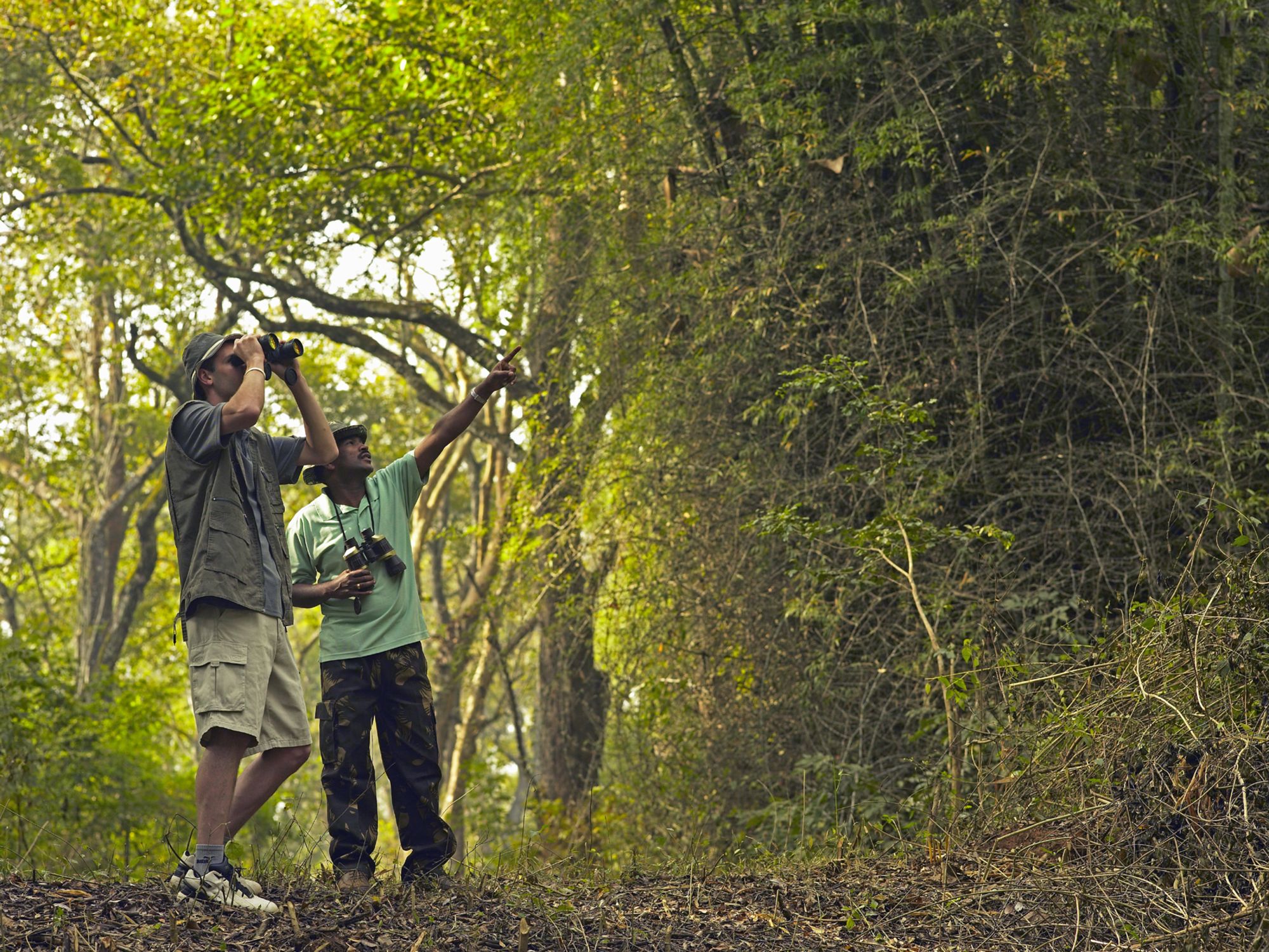 Wildes Süd-Sri Lanka ab Colombo: Bird Watching