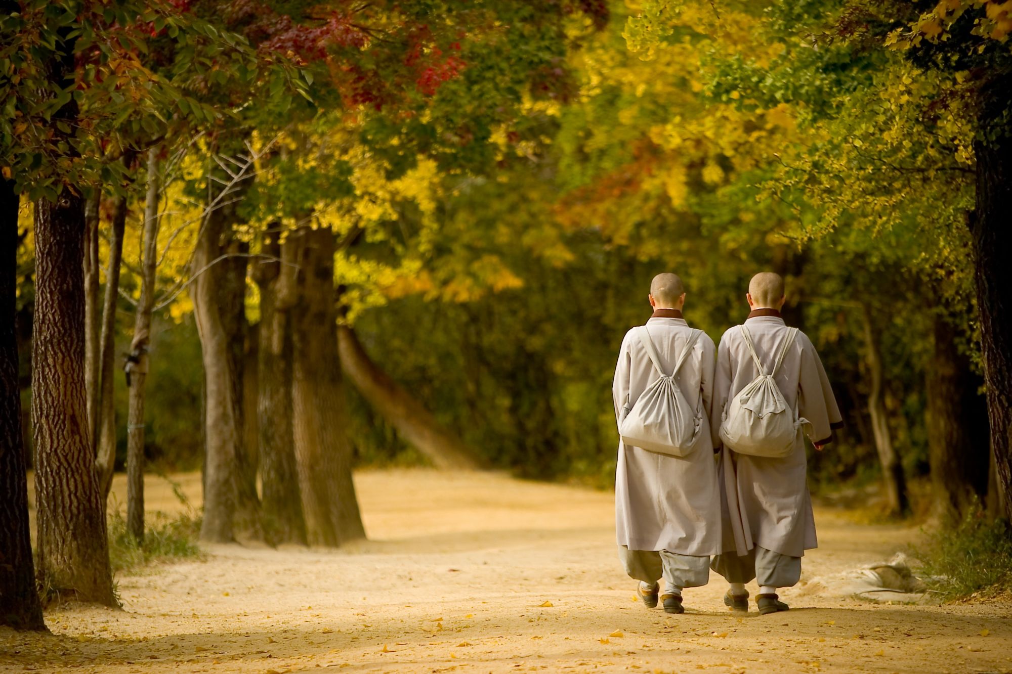 Gruppenreise «Kontrastreiches Südkorea» ab Seoul: Buseoksa monks