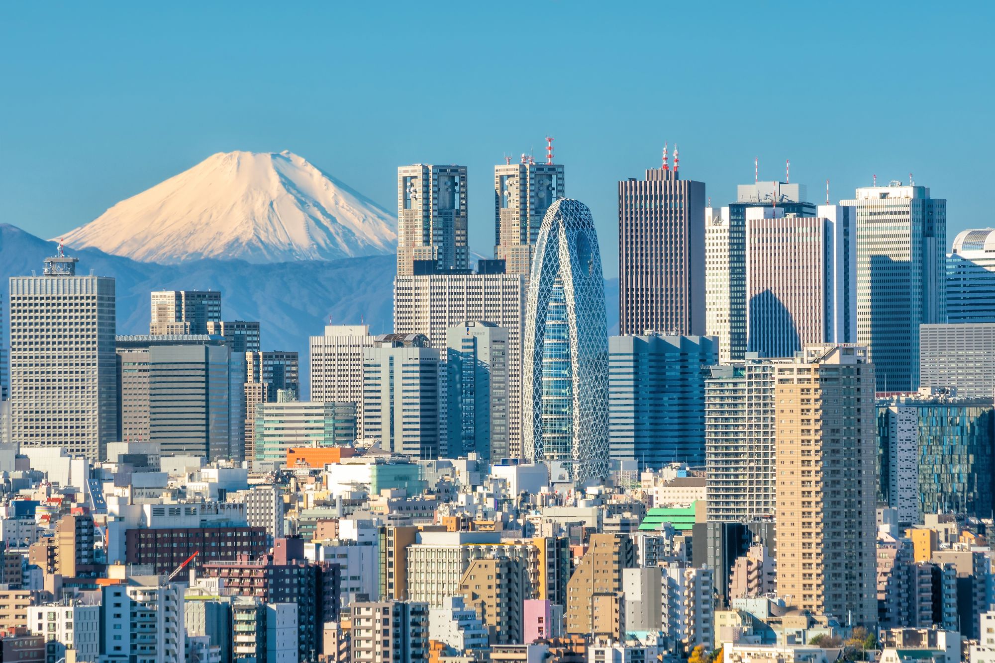 Circuit en groupe «Samouraï» de Hakodate: Tokyo skyline with Mount Fuji in the background