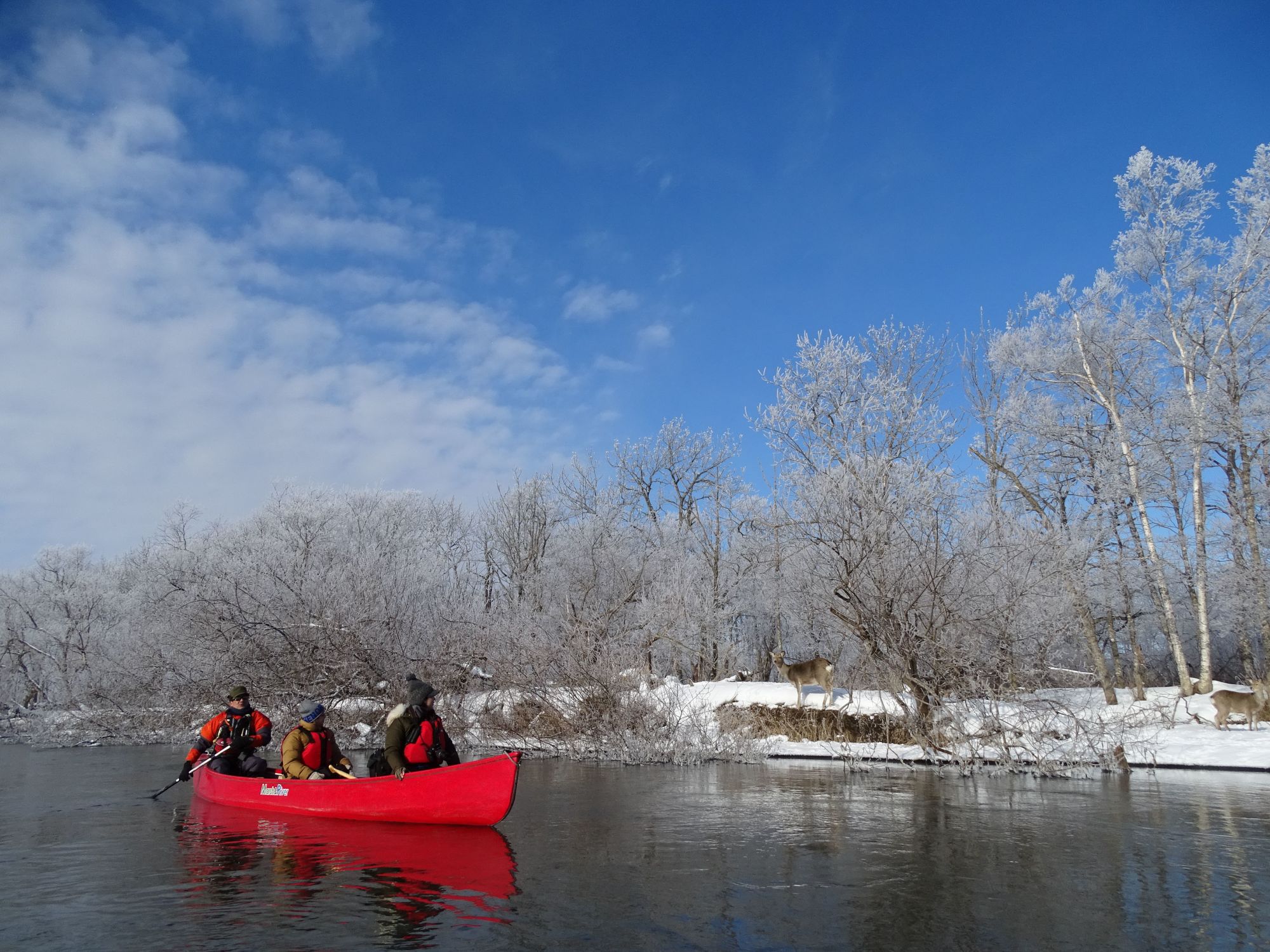 Hokkaidos Winterzauber aktiv erleben ab Kushiro: Canoeing at Kushiro River