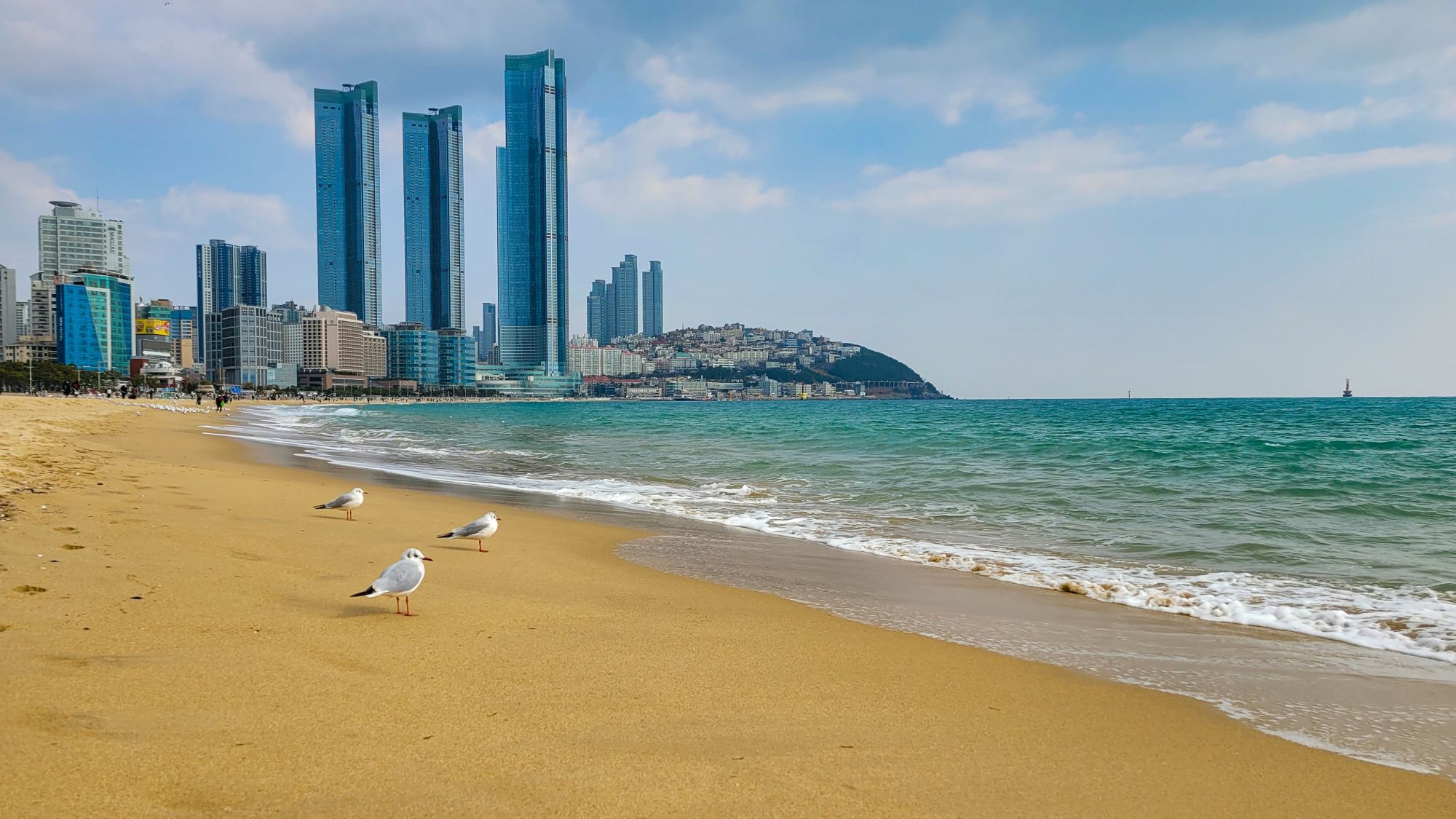 Südkorea K-Style ab Seoul: Haeundae Beach with seagulls