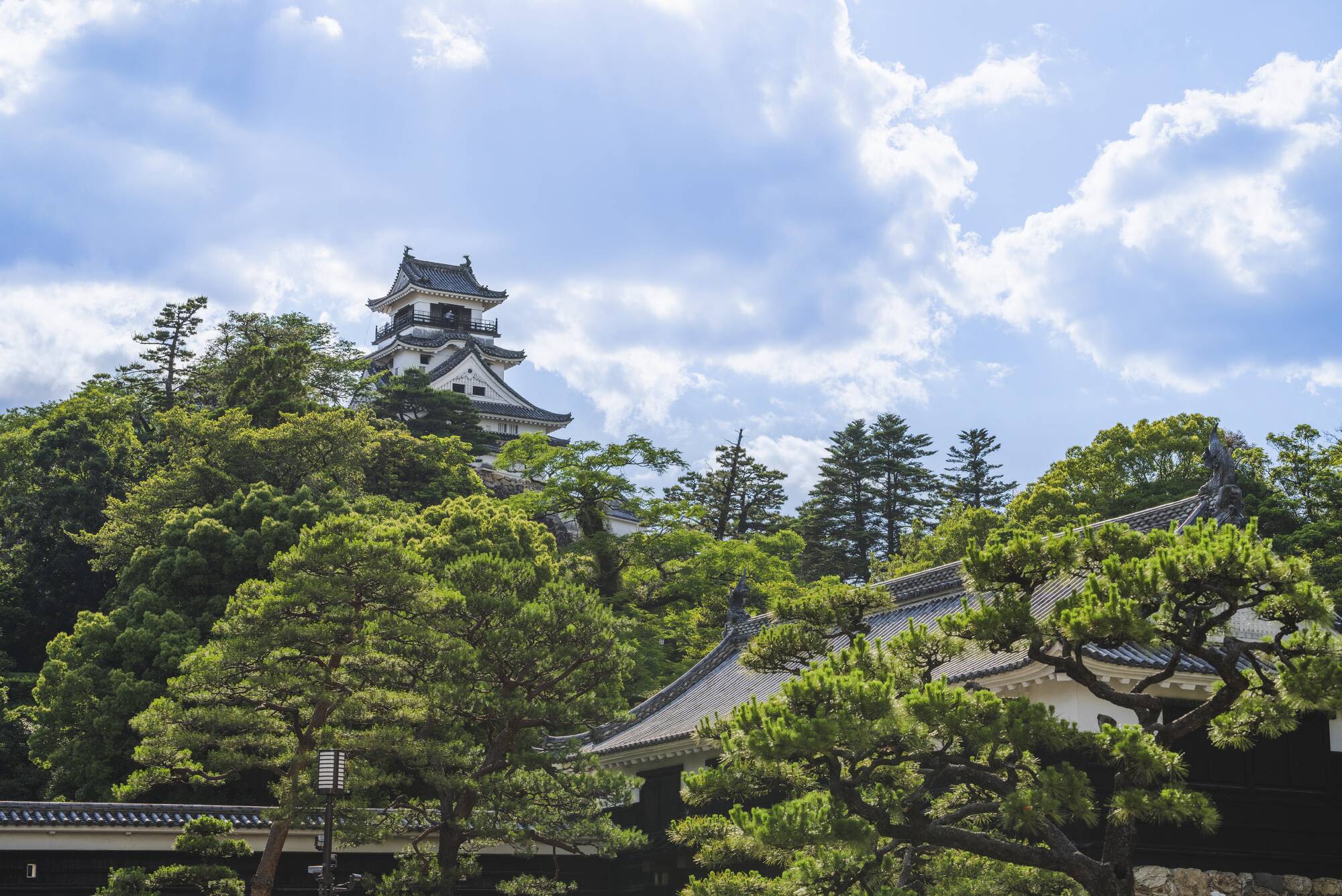 Shikoku - Le côté silencieux du Japon de Takamatsu: Kochi castle during summer