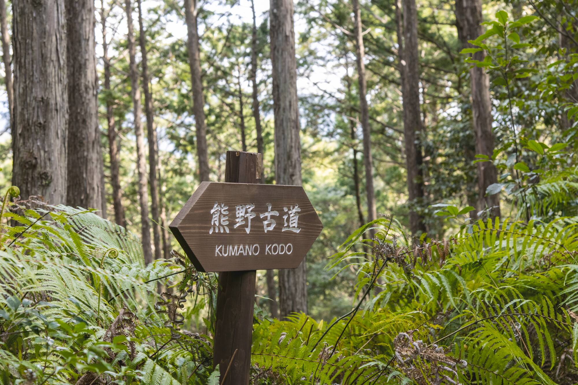 Kumano Kodo: le chemin sacré du pèlerinage au Japon de Kyoto: Kumano Kodo trail sign