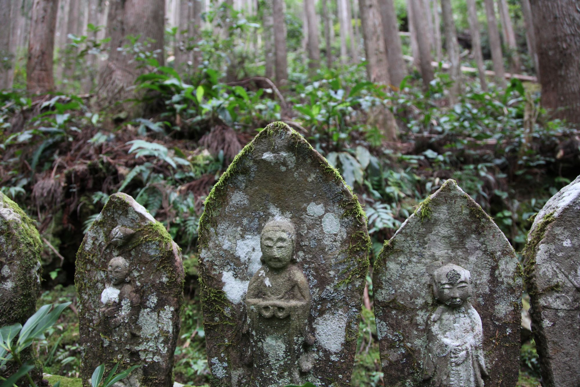 Kumano Kodo: le chemin sacré du pèlerinage au Japon de Kyoto: Impression of Kumano Kodo trail