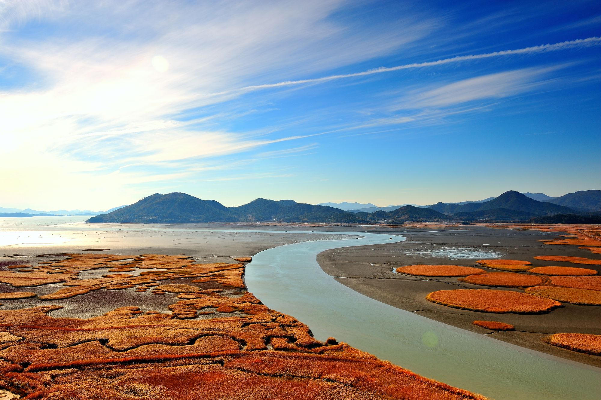 Mietwagen Rundreise «Südliches Korea» ab Seoul: View over Suncheon Wetland Reserve