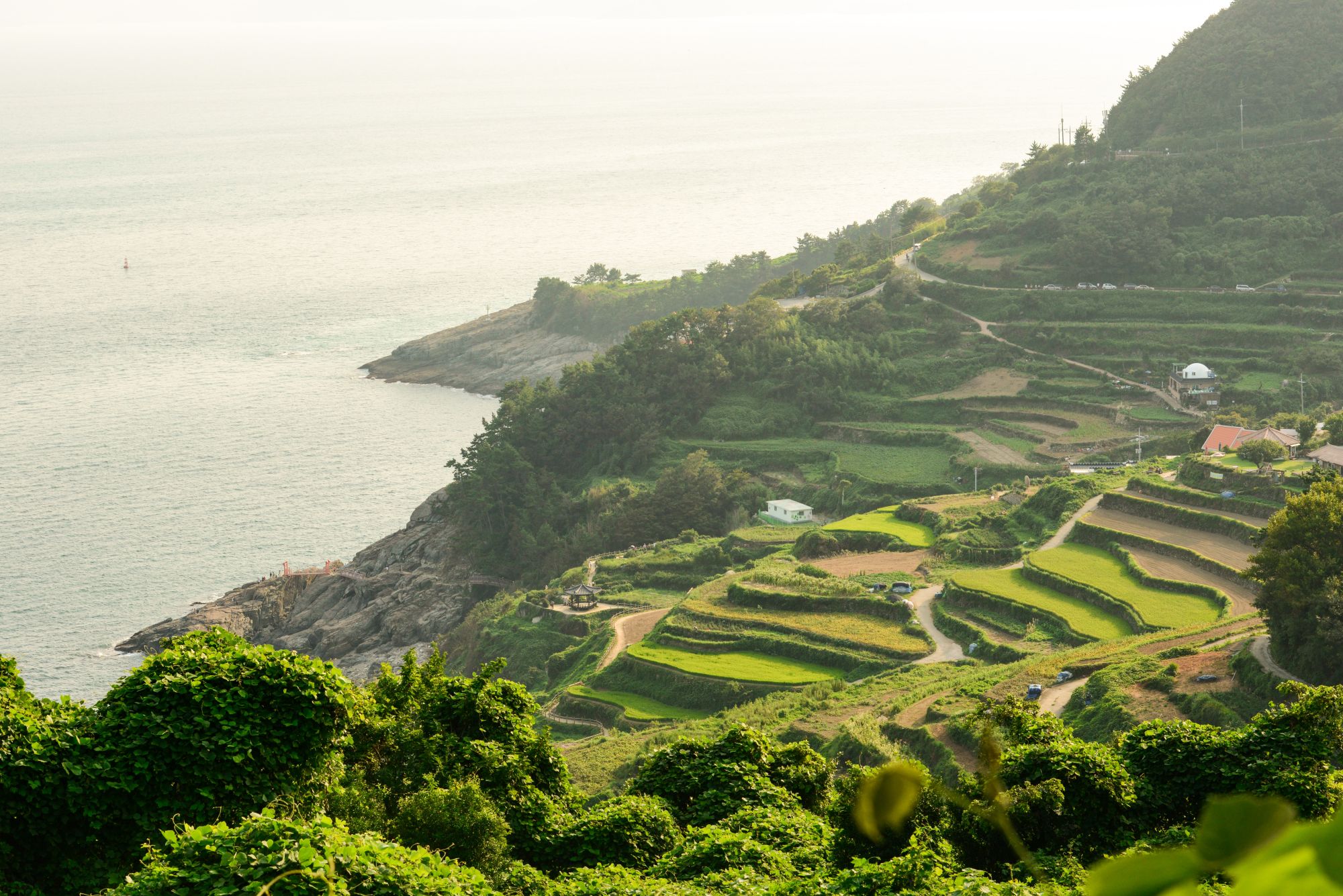 Mietwagen Rundreise «Südliches Korea» ab Seoul: Traditional terraced rice paddies in Namhae