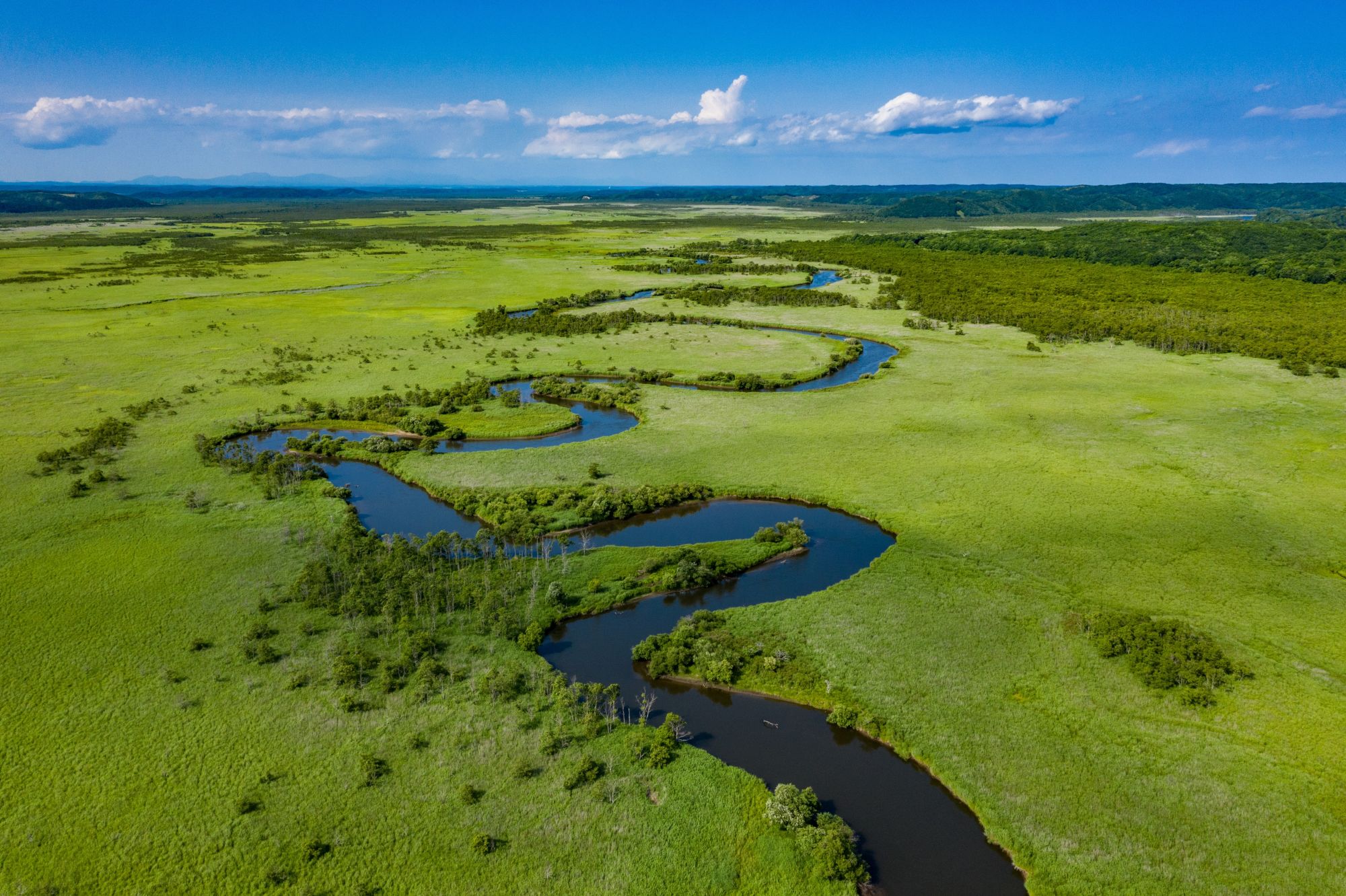 Circuit en voiture de location «Hokkaido compacte» de Sapporo: Aerial view of Kushiro Marsh