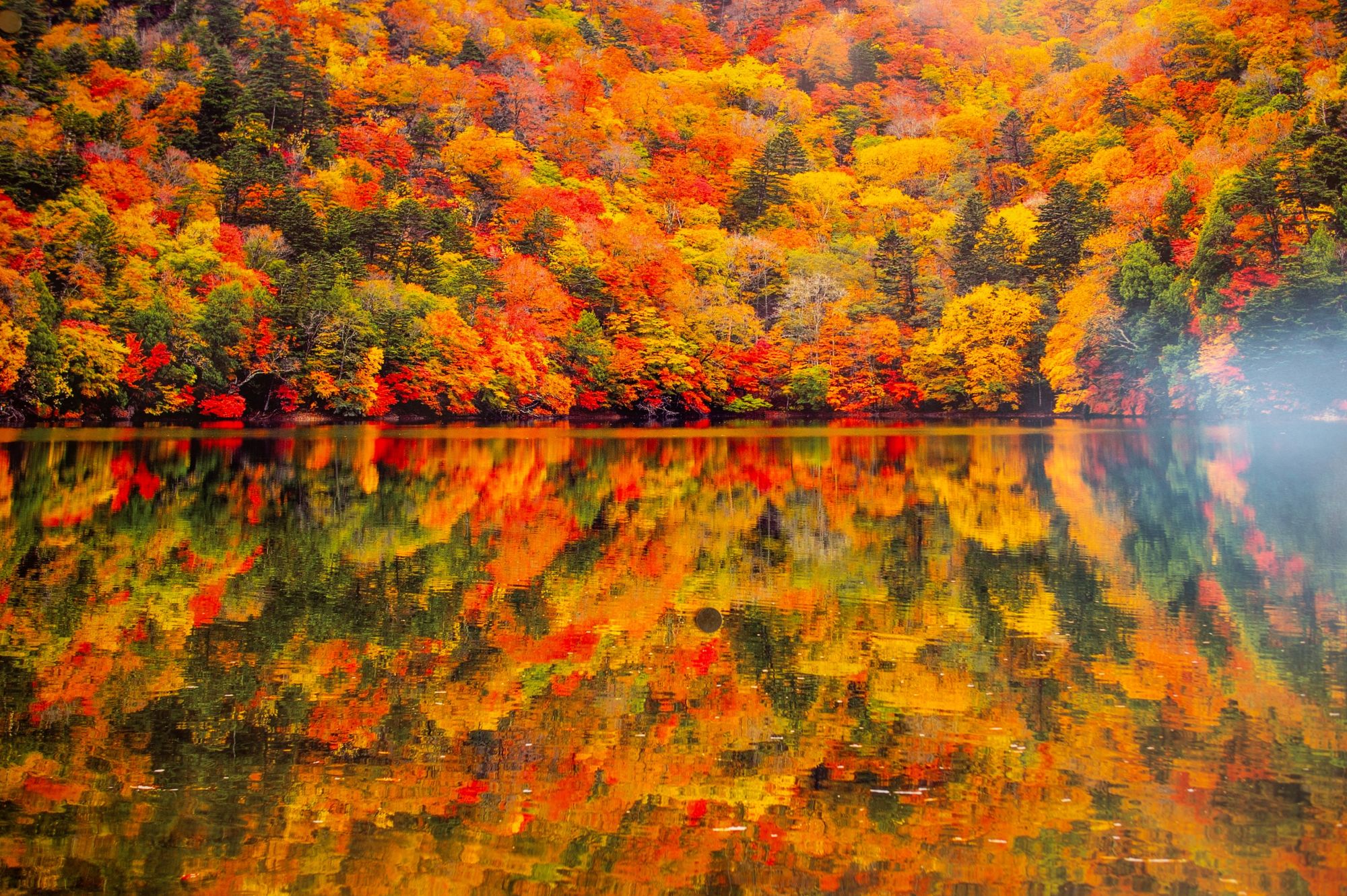Nikko : temples et la nature dans toute sa splendeur de Tokyo: Autumn leaves at Lake Chuzenji
