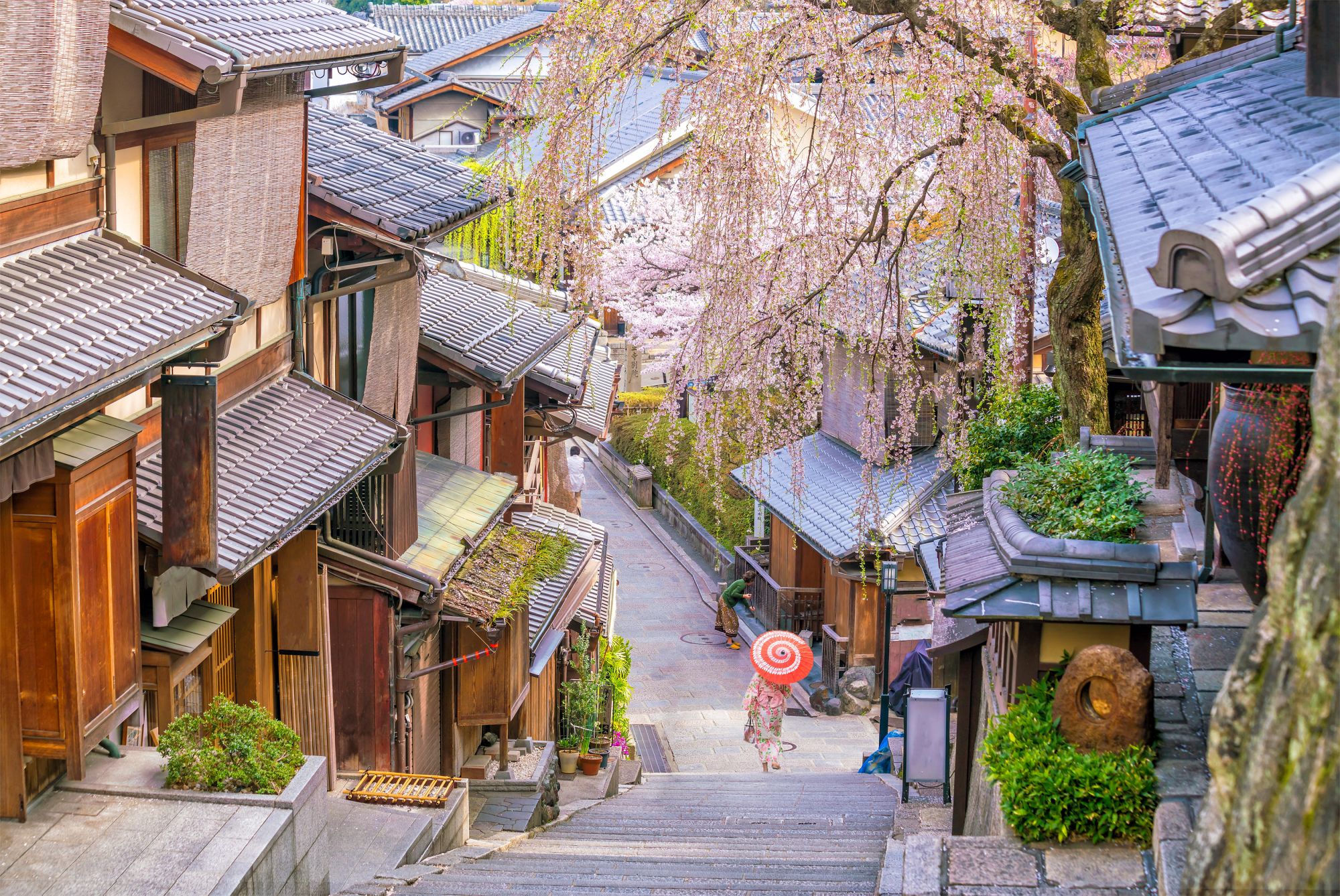 Gruppenreise «Zen» ab Kyoto: Kyoto - old town Higashiyama District during Sakura season