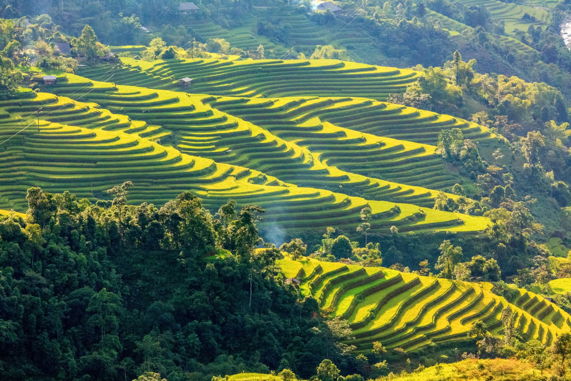 Nord Vietnam sauvage de Hanoi: Rice fields on terraced of Hoang Su Phi