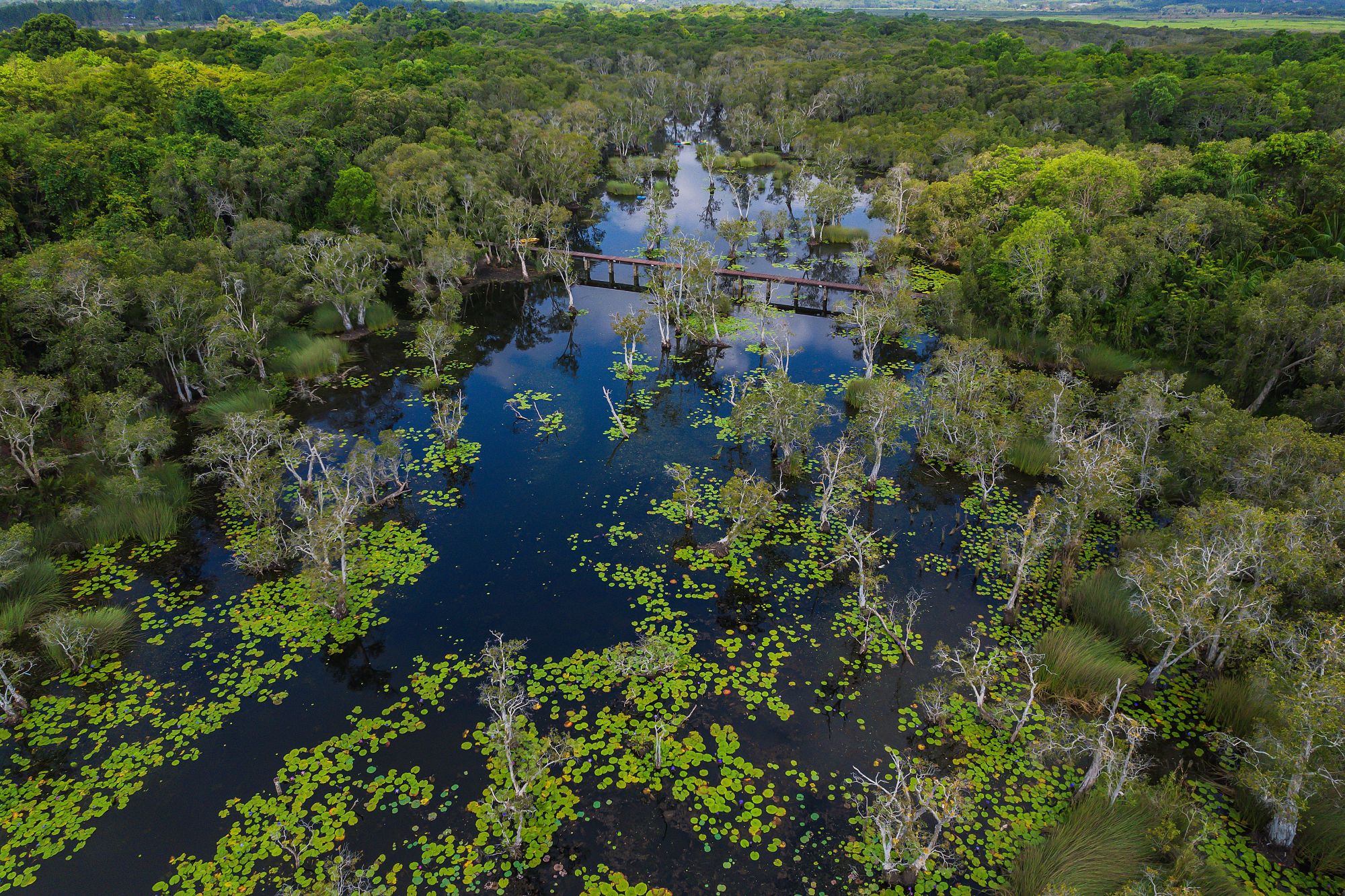 Wind, Wellen & Geschichte an der Ostküste ab Bangkok: Mangrove Forest Chonburi