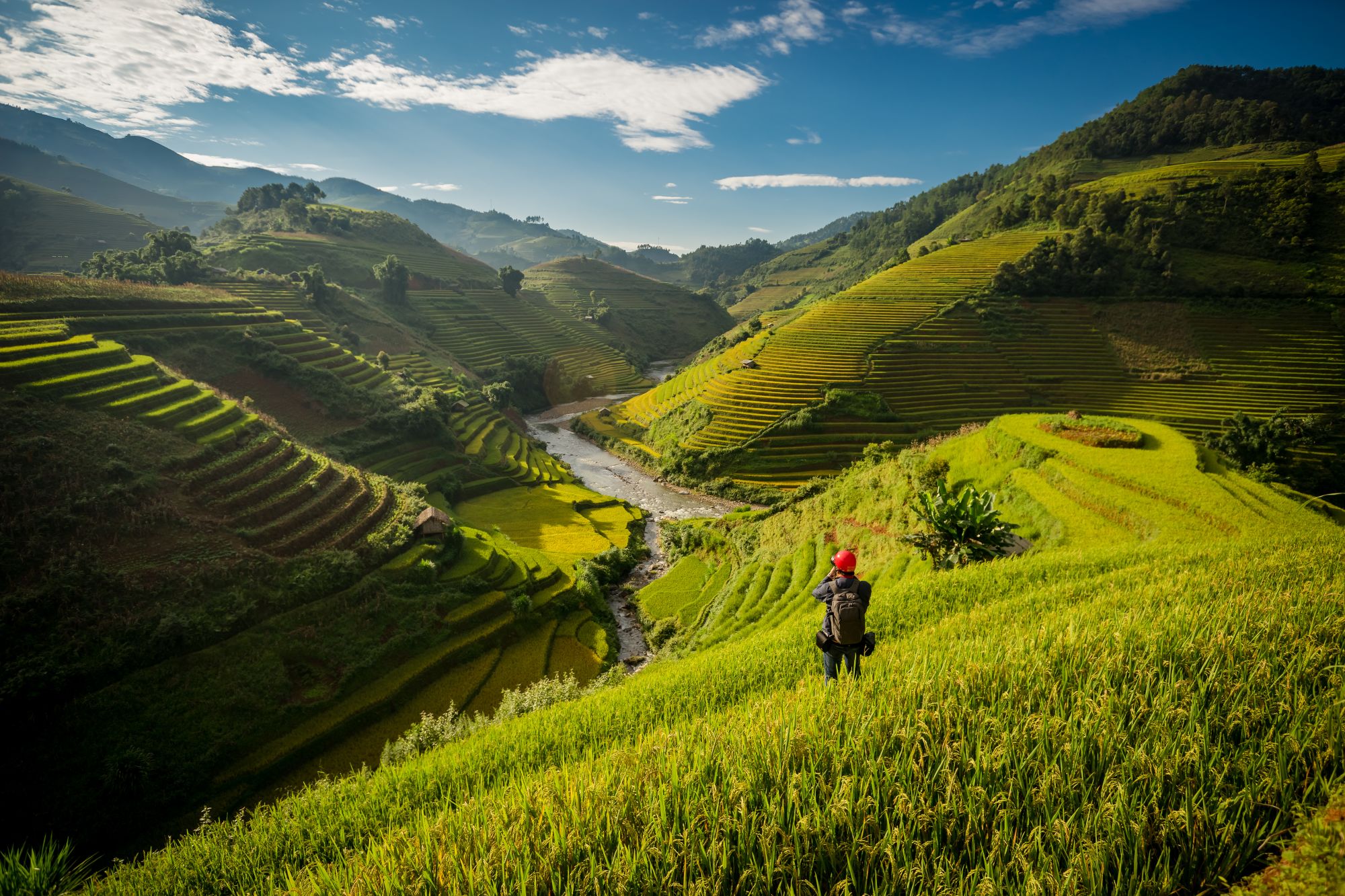 Durchs Reich der Bergvölker ab Hanoi: Mu Cang Chai rice fields stretching across mountainside