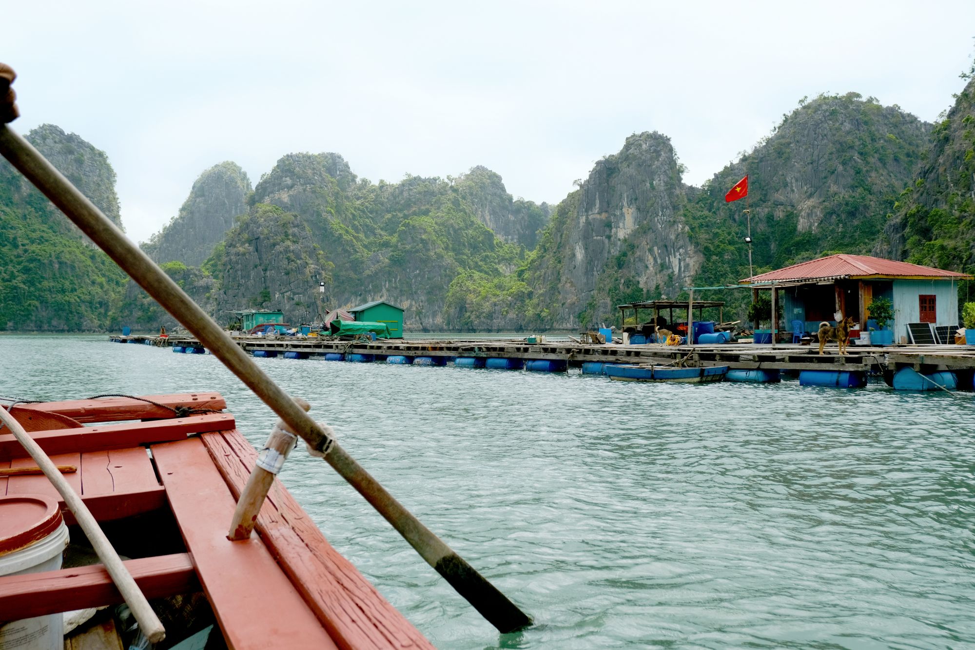 Bai Tu Long Bucht Kreuzfahrt mit «Violet» ab Hanoi: Floating fishing village in beautiful scenery