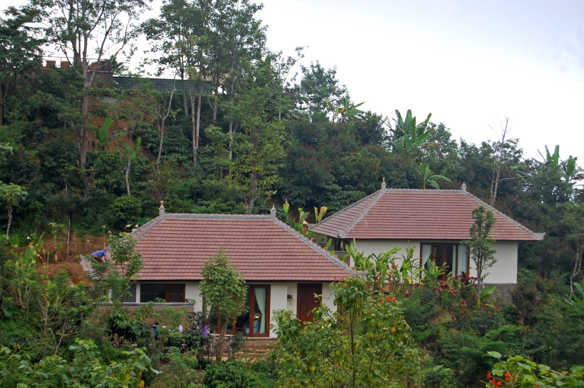 Munduk Moding Plantation Nature Resort in Nordbali: Garden