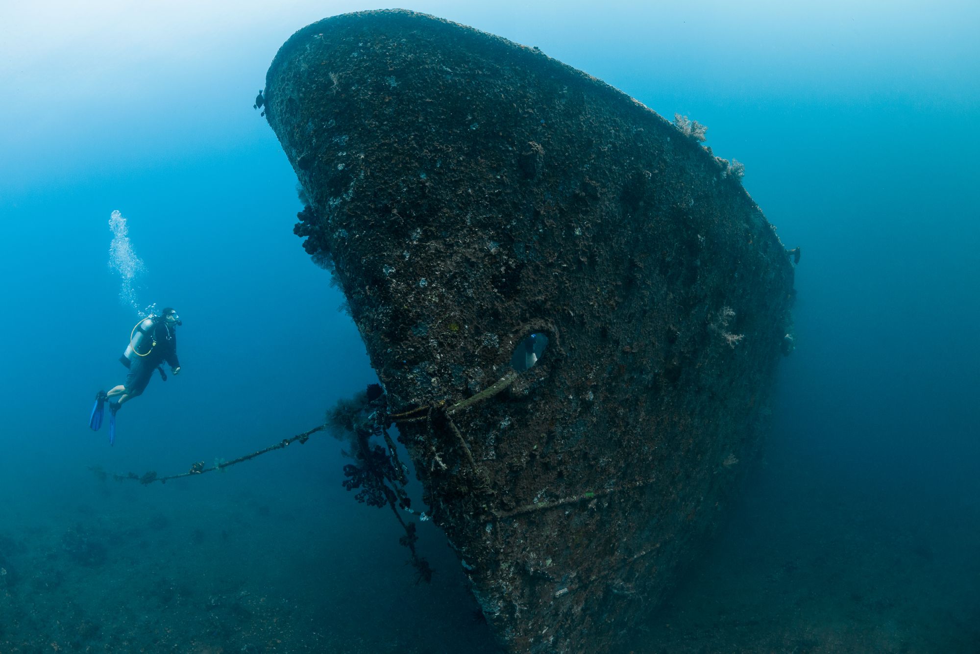 Siddhartha Oceanfront Resort & Spa à Ouest de Bali: Diving | Boga Wreck
