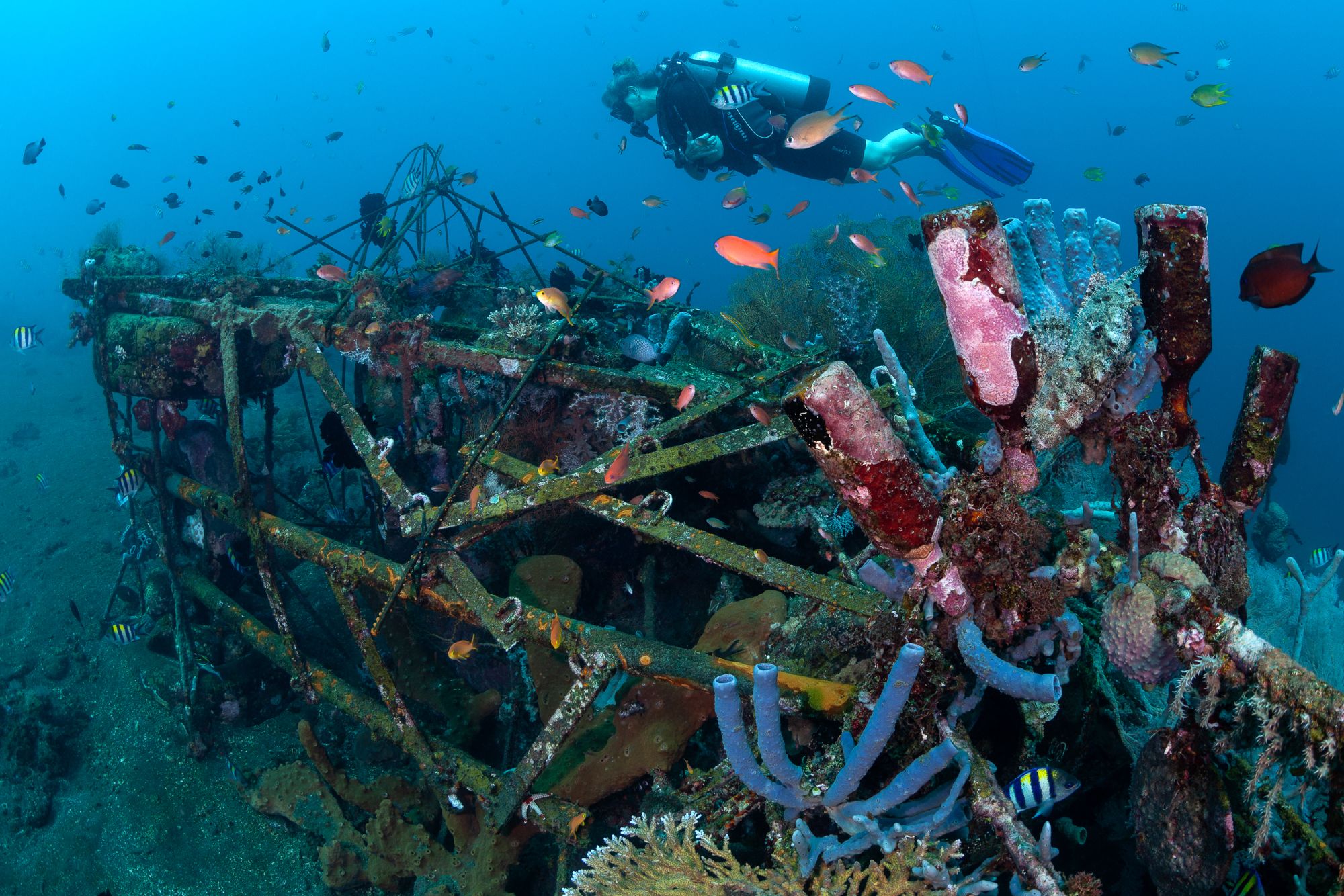 Siddhartha Oceanfront Resort & Spa à Ouest de Bali: Diving | House Reef