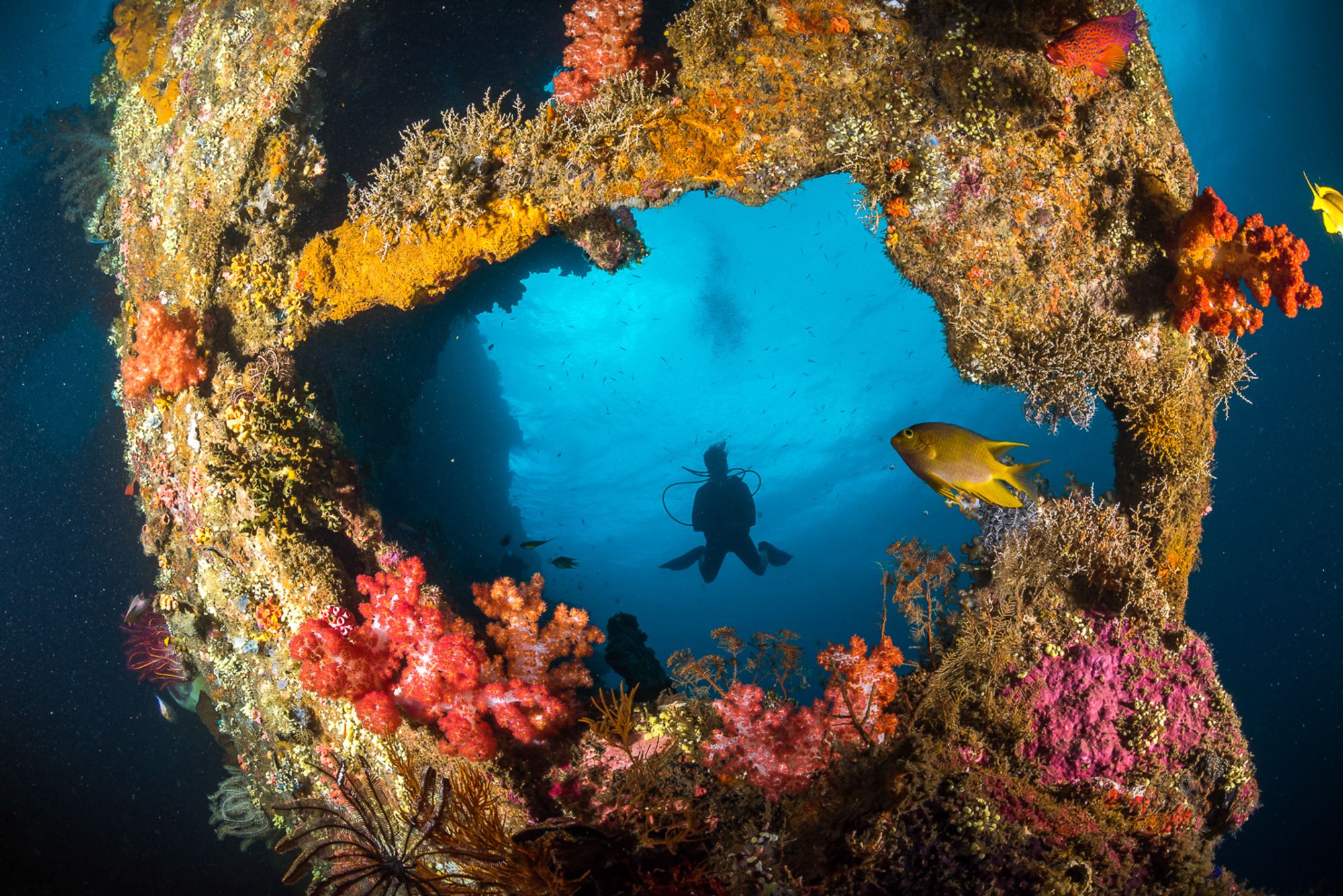 Siddhartha Oceanfront Resort & Spa à Ouest de Bali: Diving