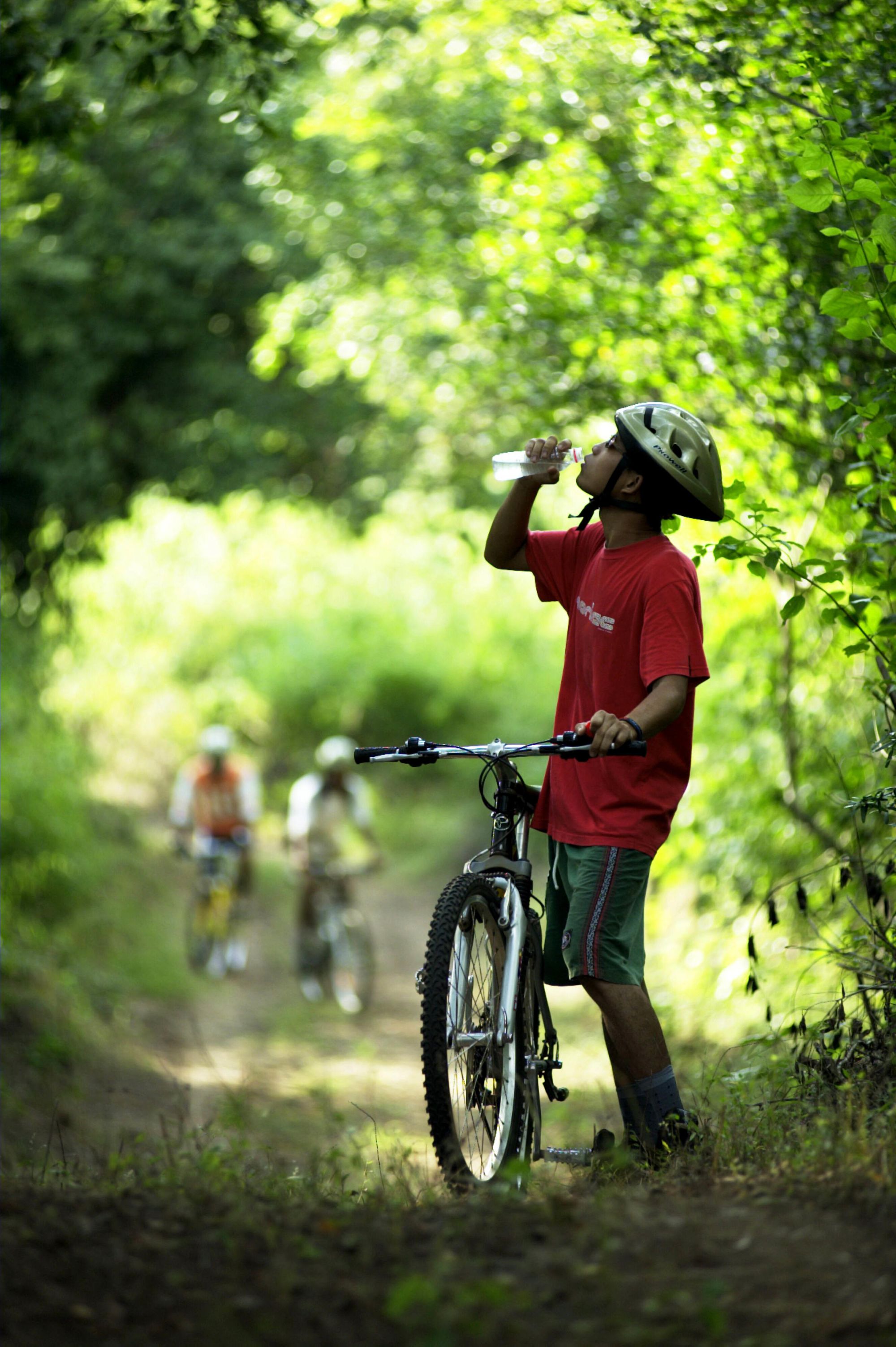 The Menjangan in Nordbali: Biking