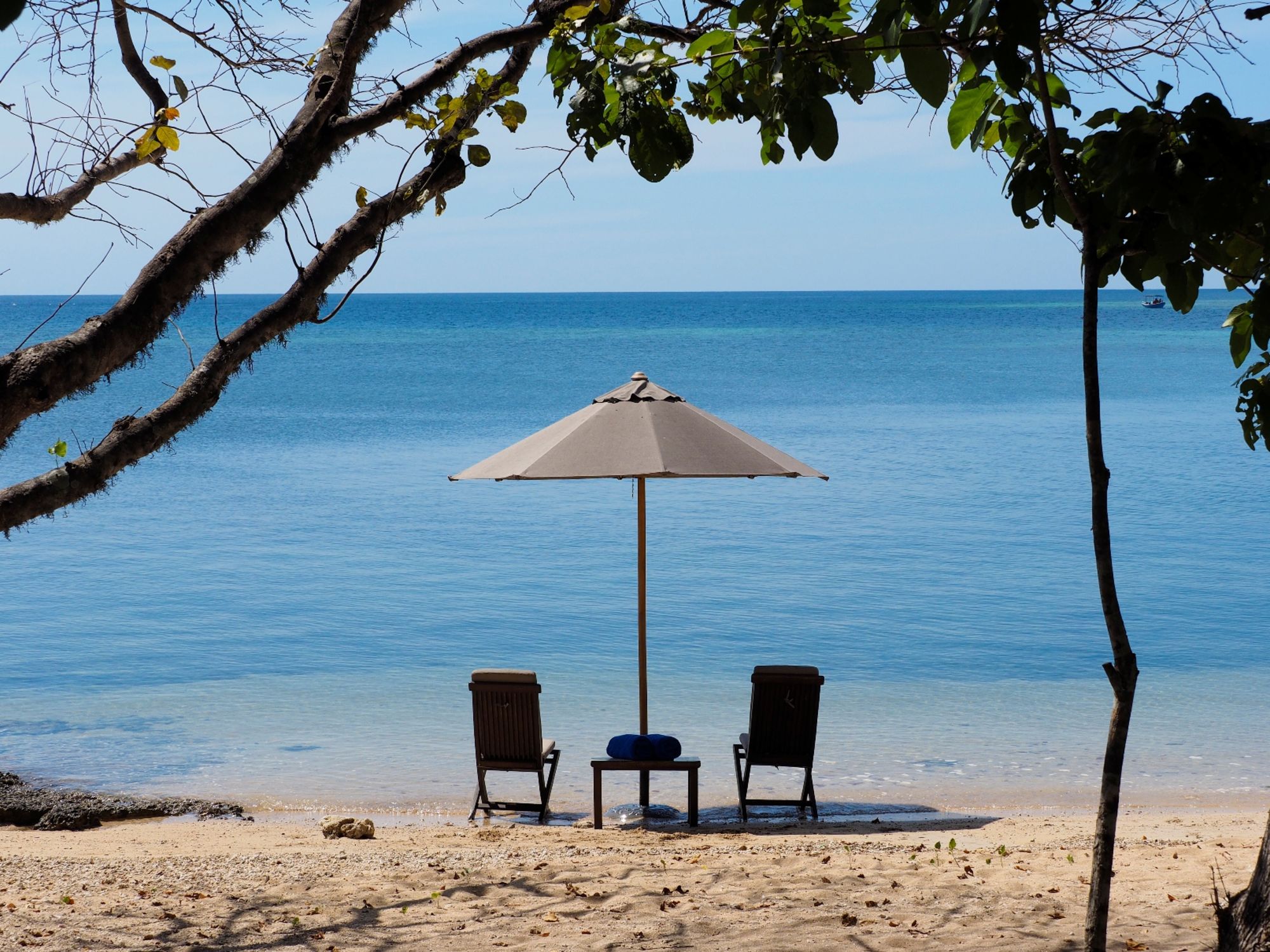 The Menjangan in Nordbali: Beach Villa