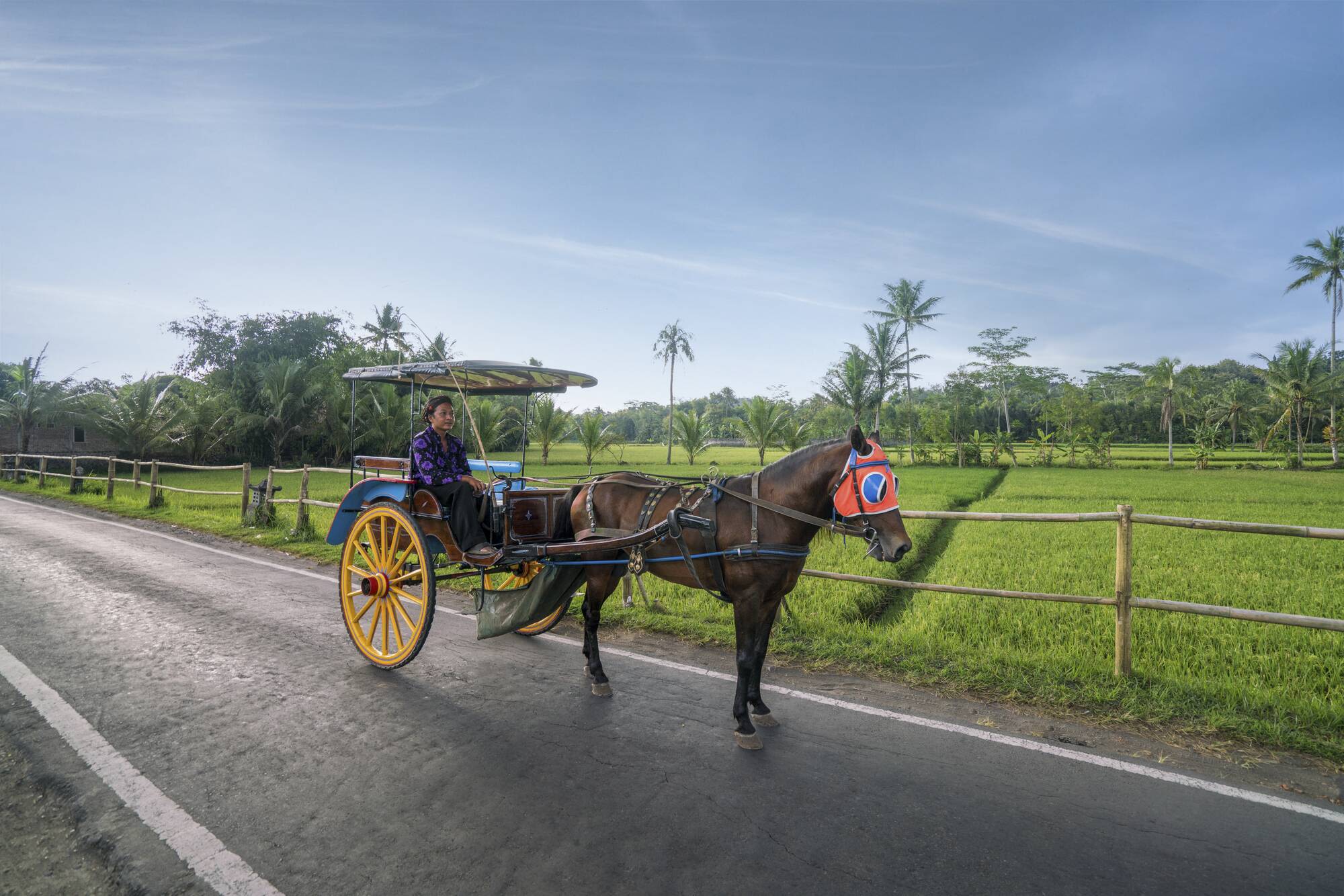 Amanjiwo in Yogyakarta:  Andong Horse Cart