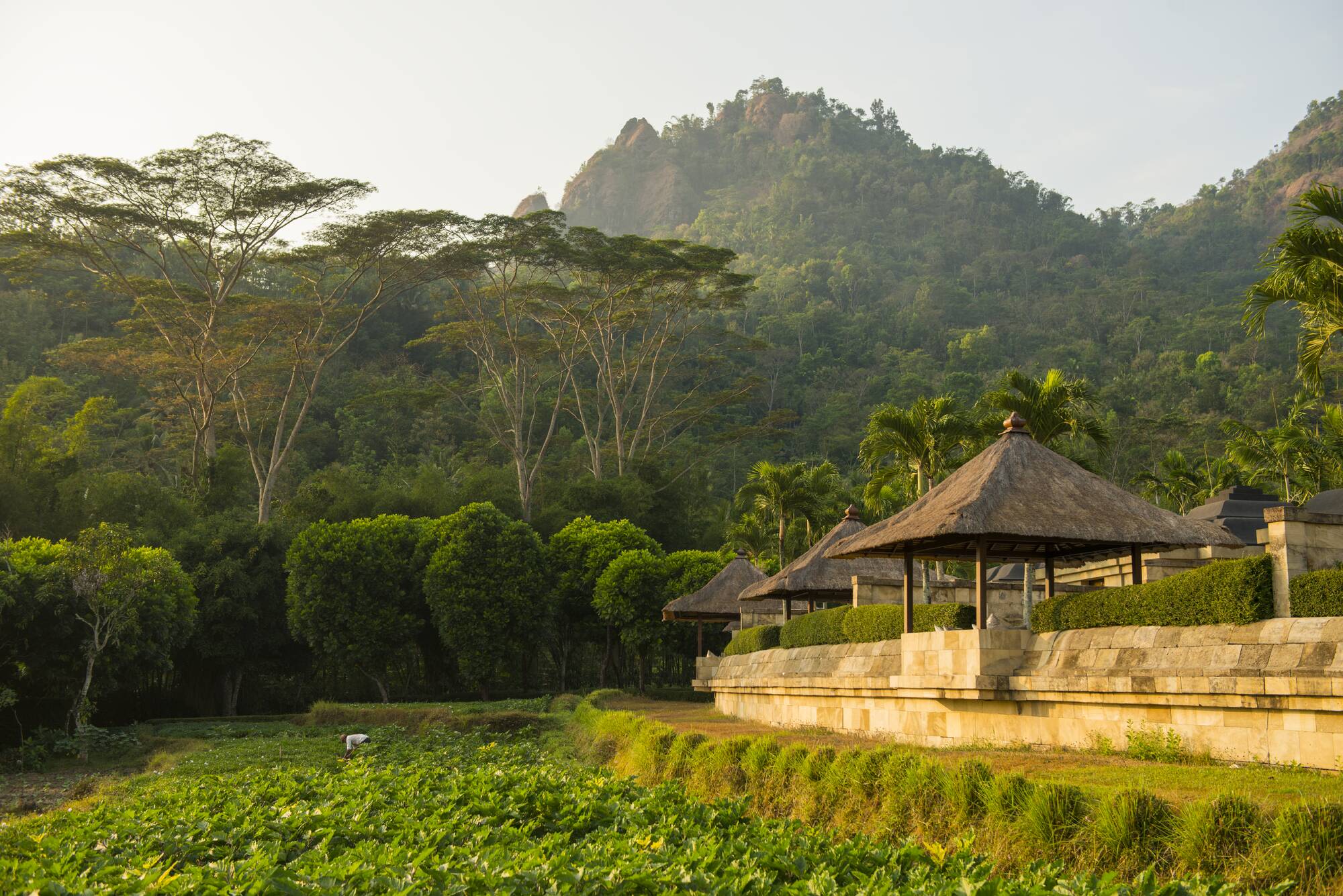 Amanjiwo in Yogyakarta:  Bales & Rice Fields