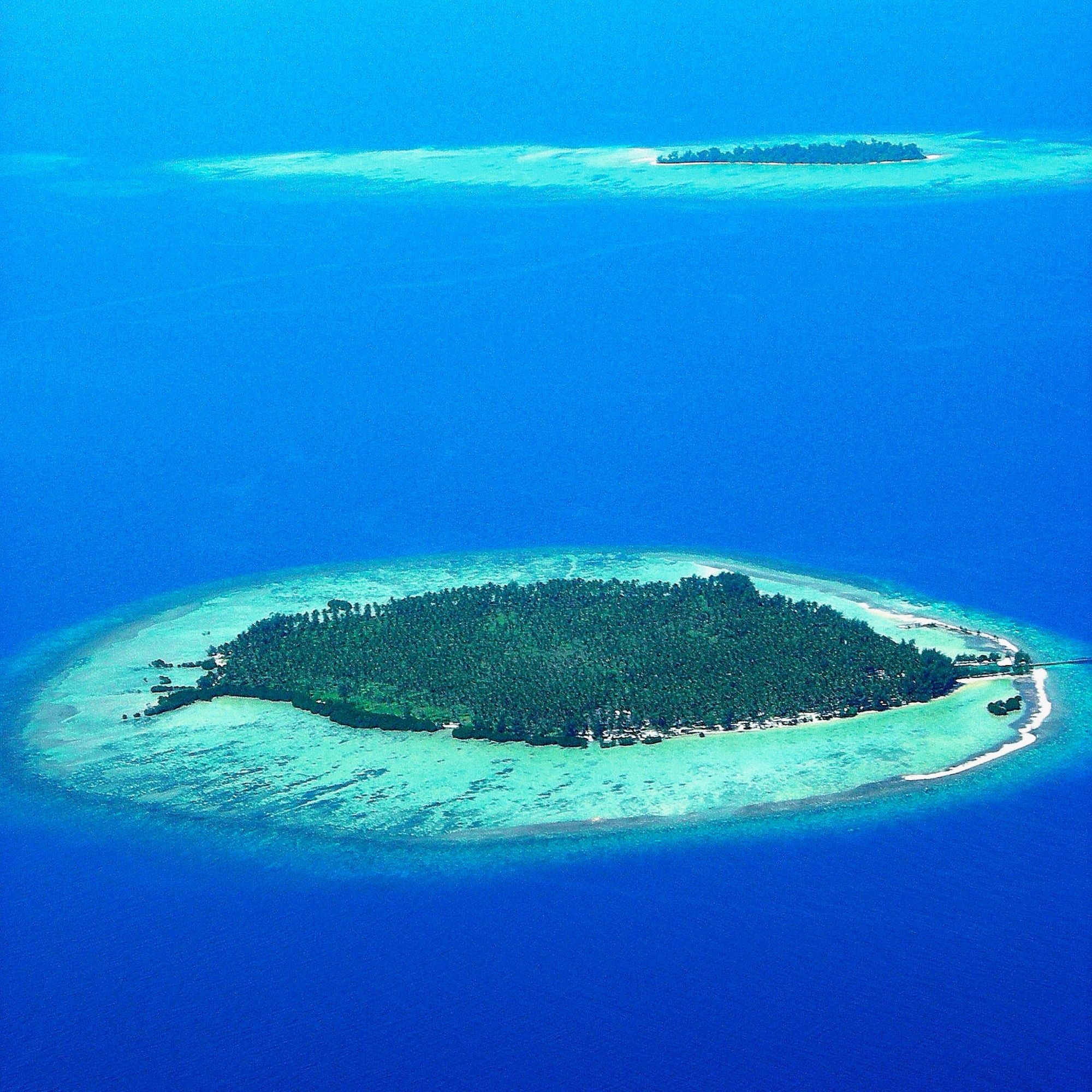 Kura Kura Resort in Karimunjawa: Menjawakan Island with Kura Kura Resort