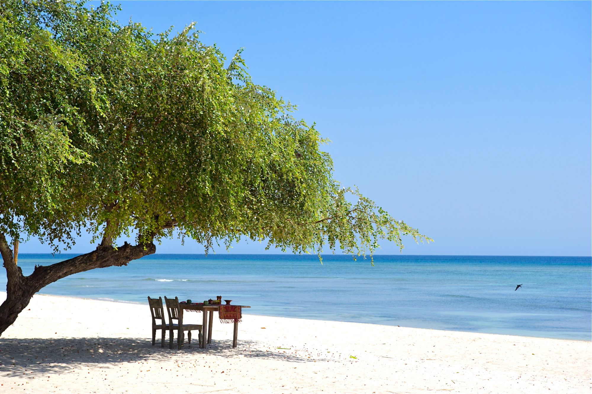 Tugu Lombok: Sire Beach - Front Lawn