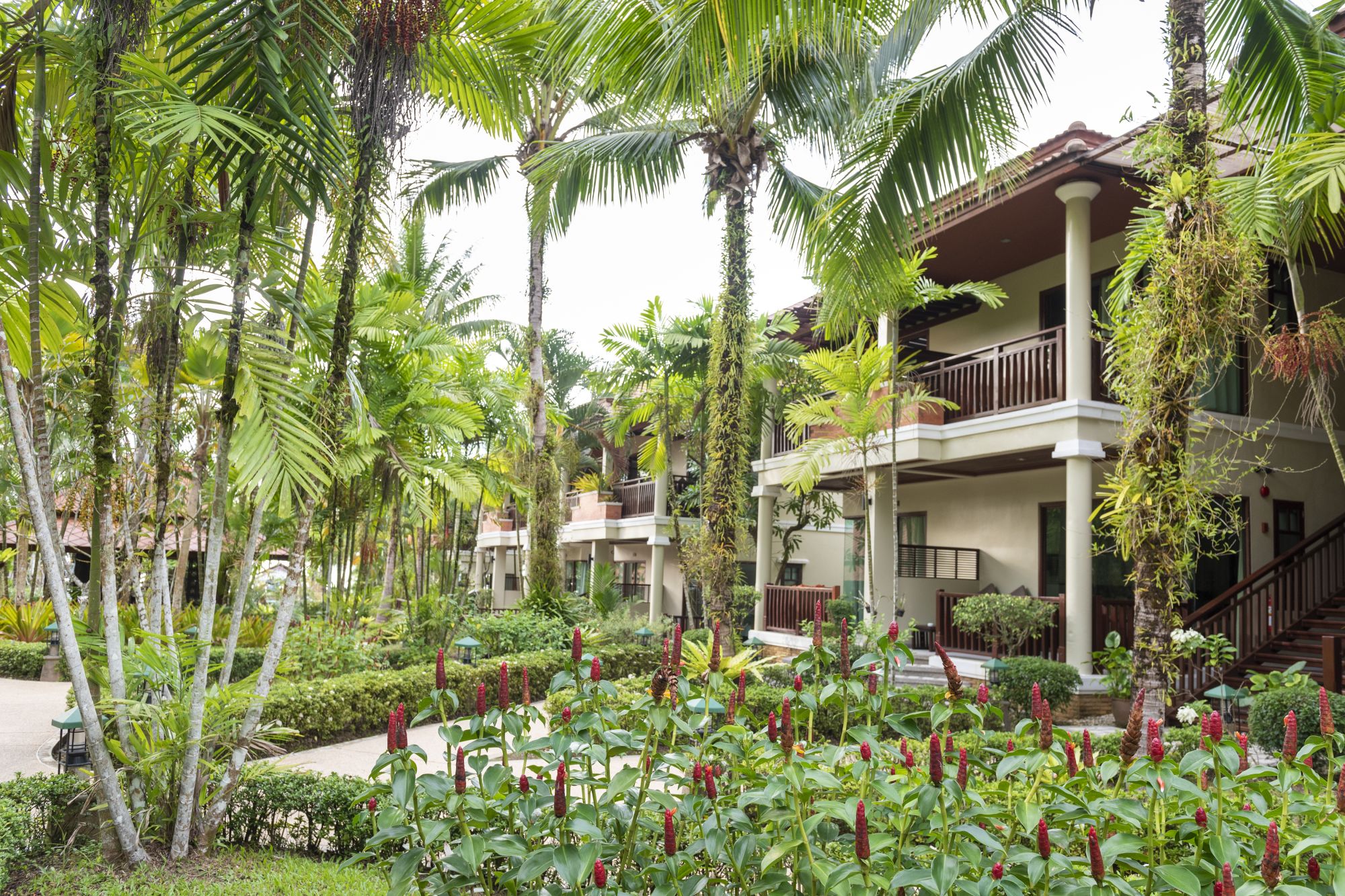 Khao Lak Bayfront Resort: garden