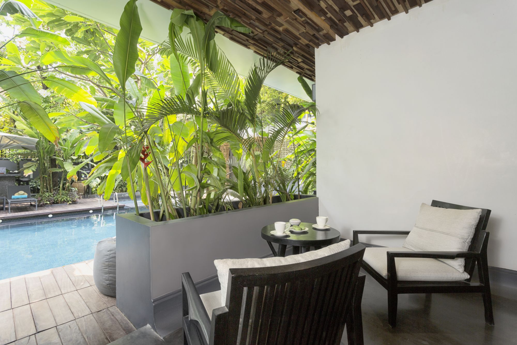 Anjali by Syphon à Siem Reap: Anjali Pool Access