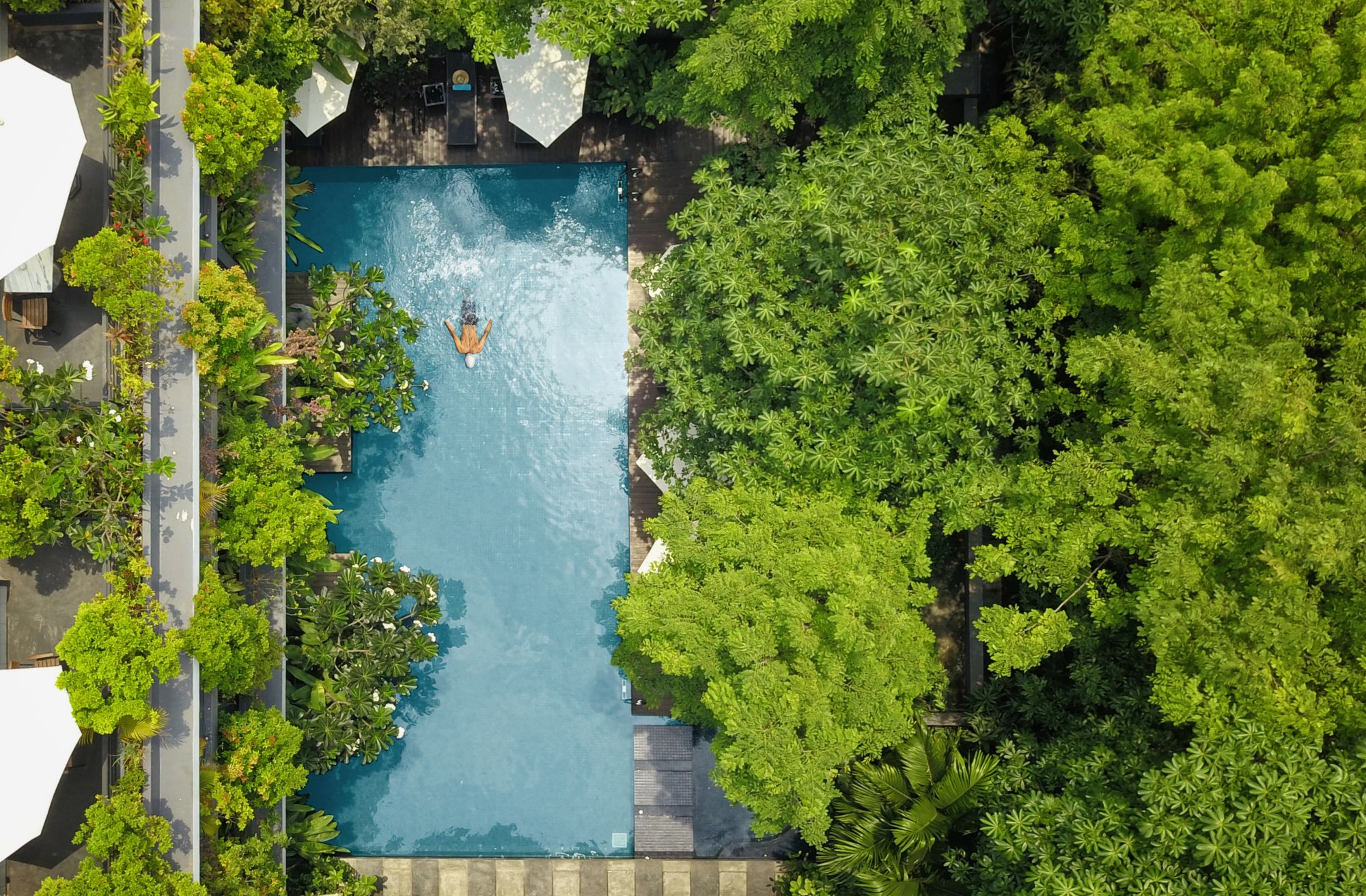 Anjali by Syphon à Siem Reap: Pool Top View