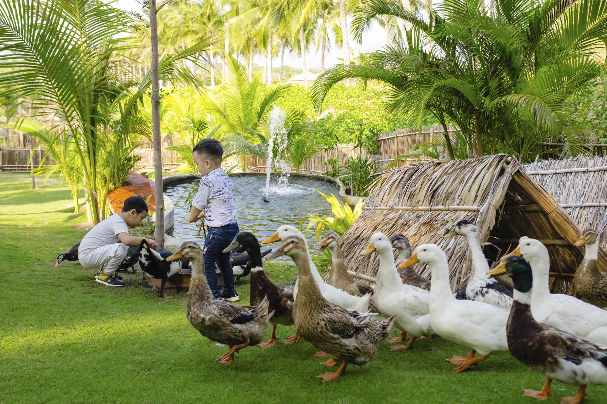 Fusion Resort Cam Ranh à Nha Trang: Kids Club