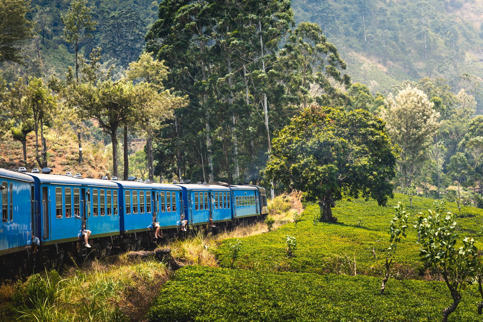 Leserreise SonntagsZeitung und Der Bund - Sri Lanka & Malediven - Kultur und tropisches Paradies in perfekter Kombination ab Colombo: Nuwara Eliya Scenic blue train slowly going through highlands