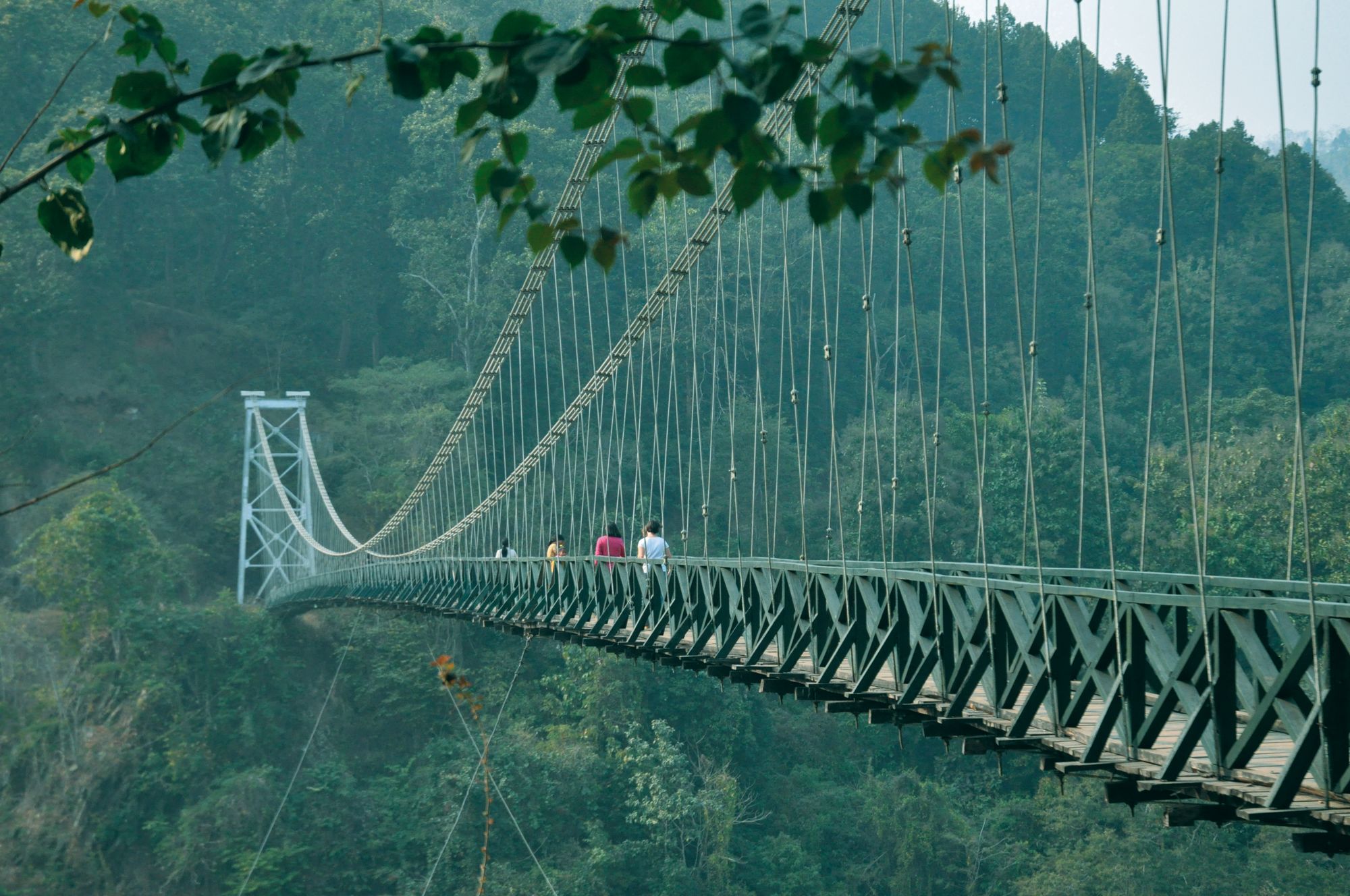 Glenburn Tea Estate à Darjeeling:  Suspension Bridge to Sikkim