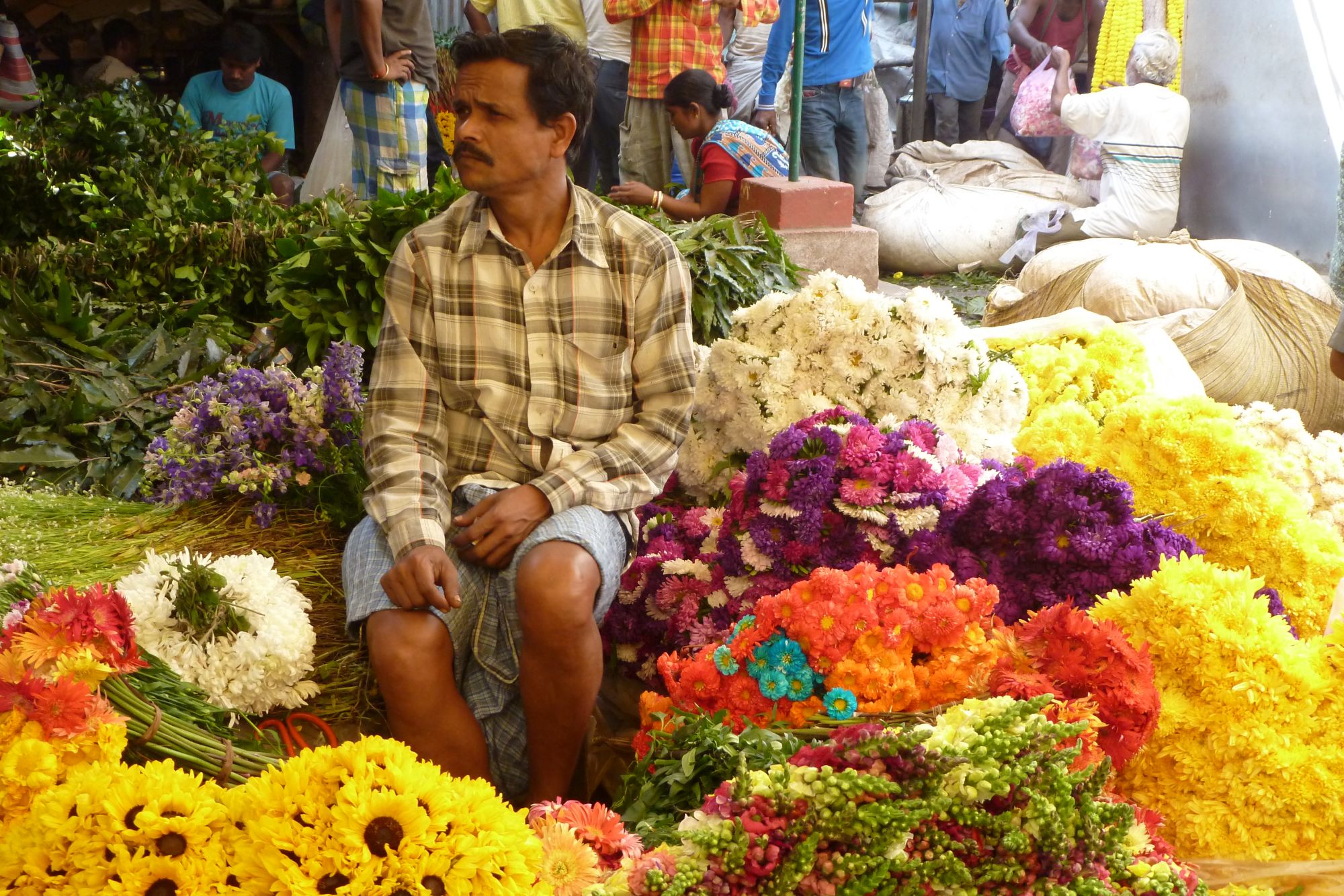 Glenburn Tea Estate à Darjeeling:  Flower Market