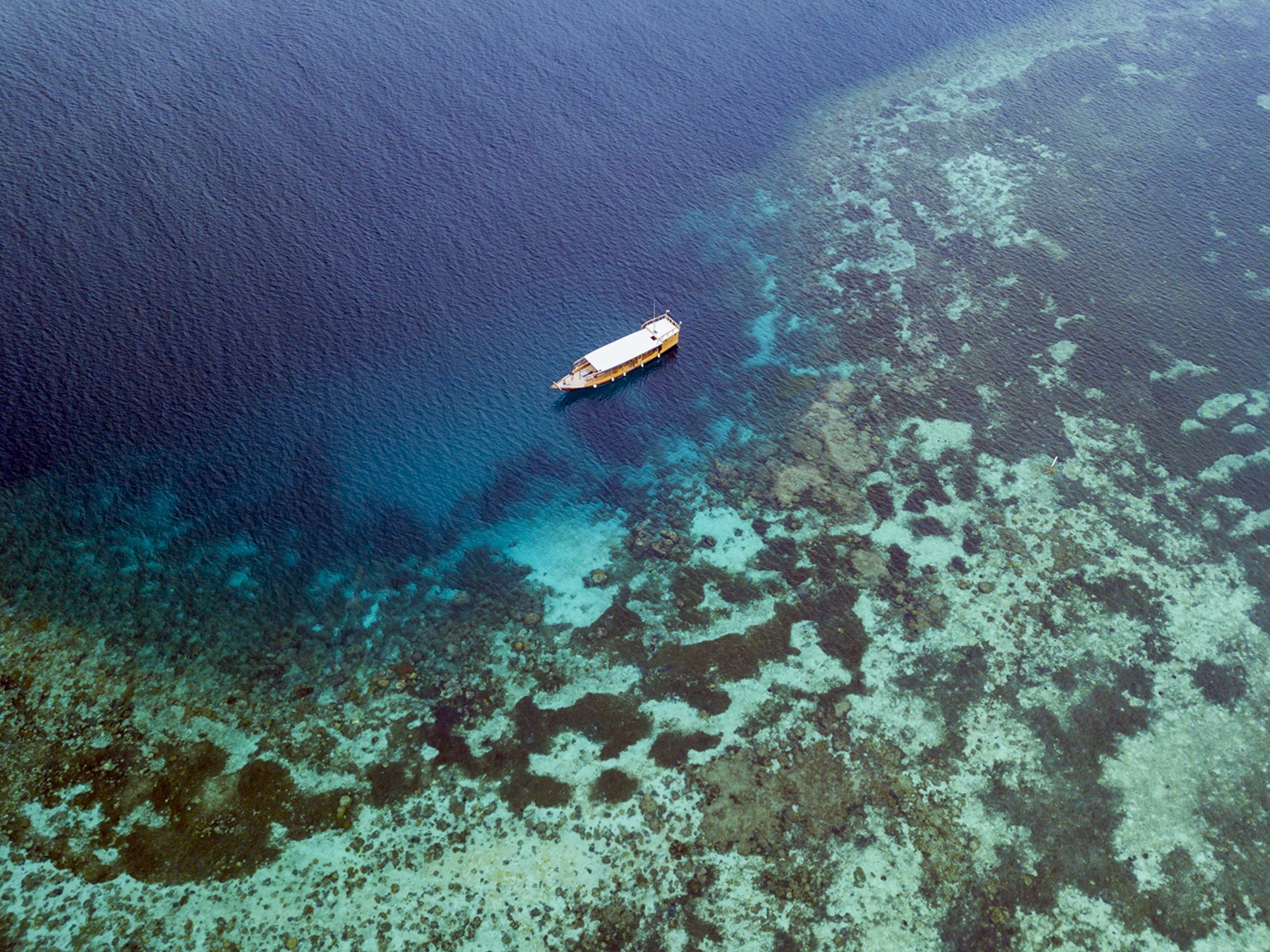 Wakatobi Dive Resort:  Wakatobi boat on reef