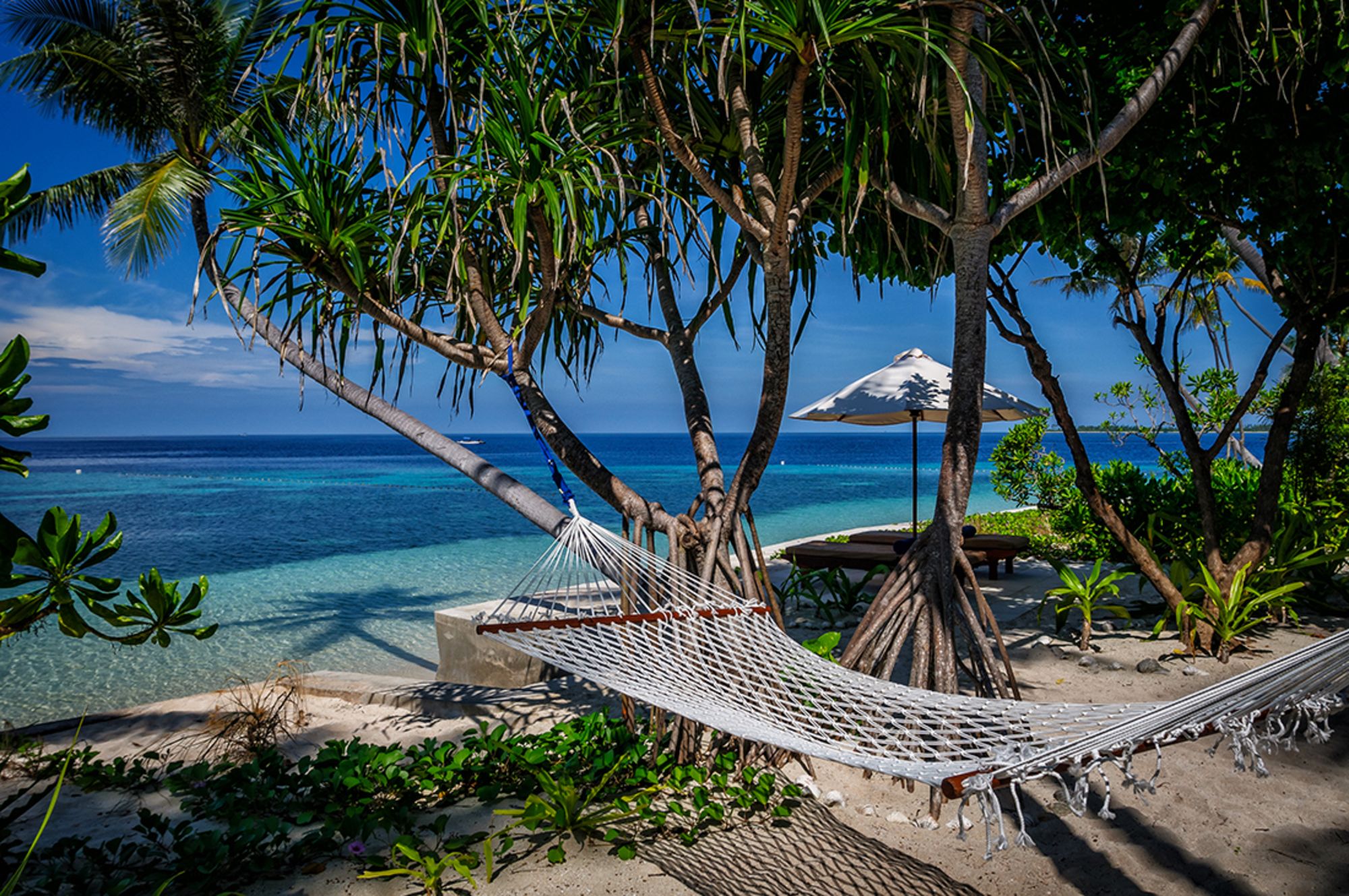 Wakatobi Dive Resort:  Ocean Bungalow | View