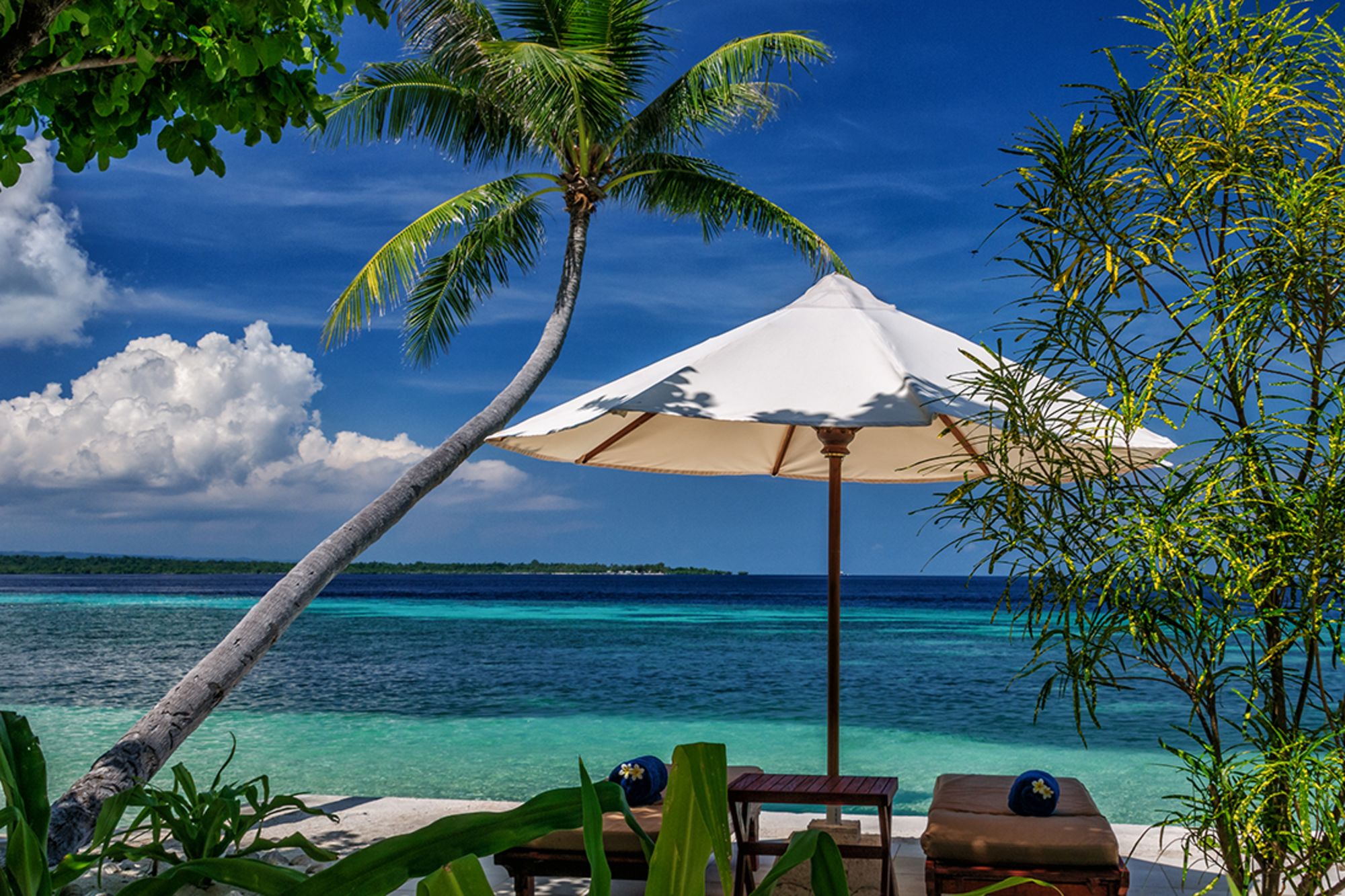 Wakatobi Dive Resort:  Ocean Bungalow | View