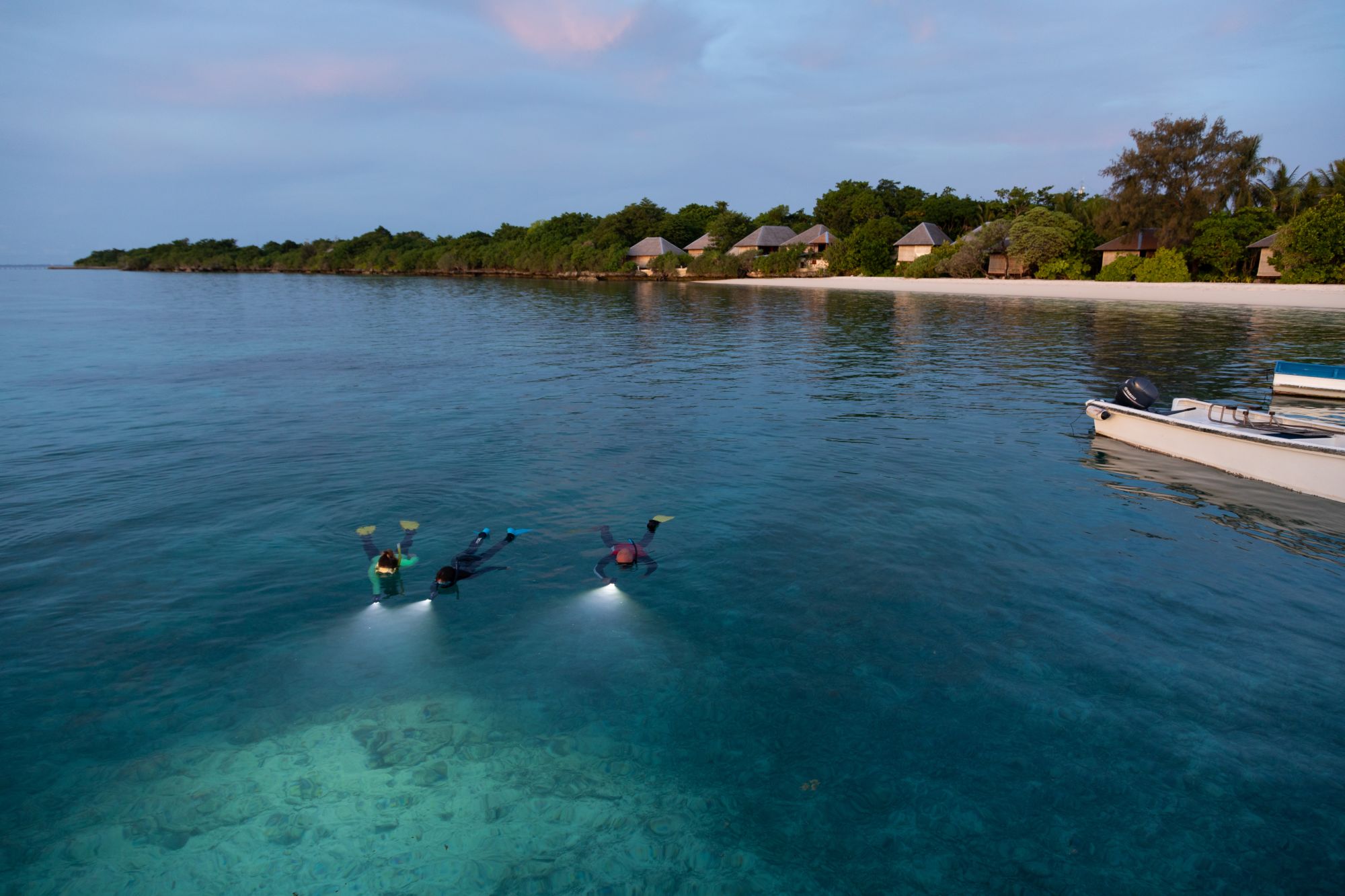 Wakatobi Dive Resort:  Night snorkeling House-reef