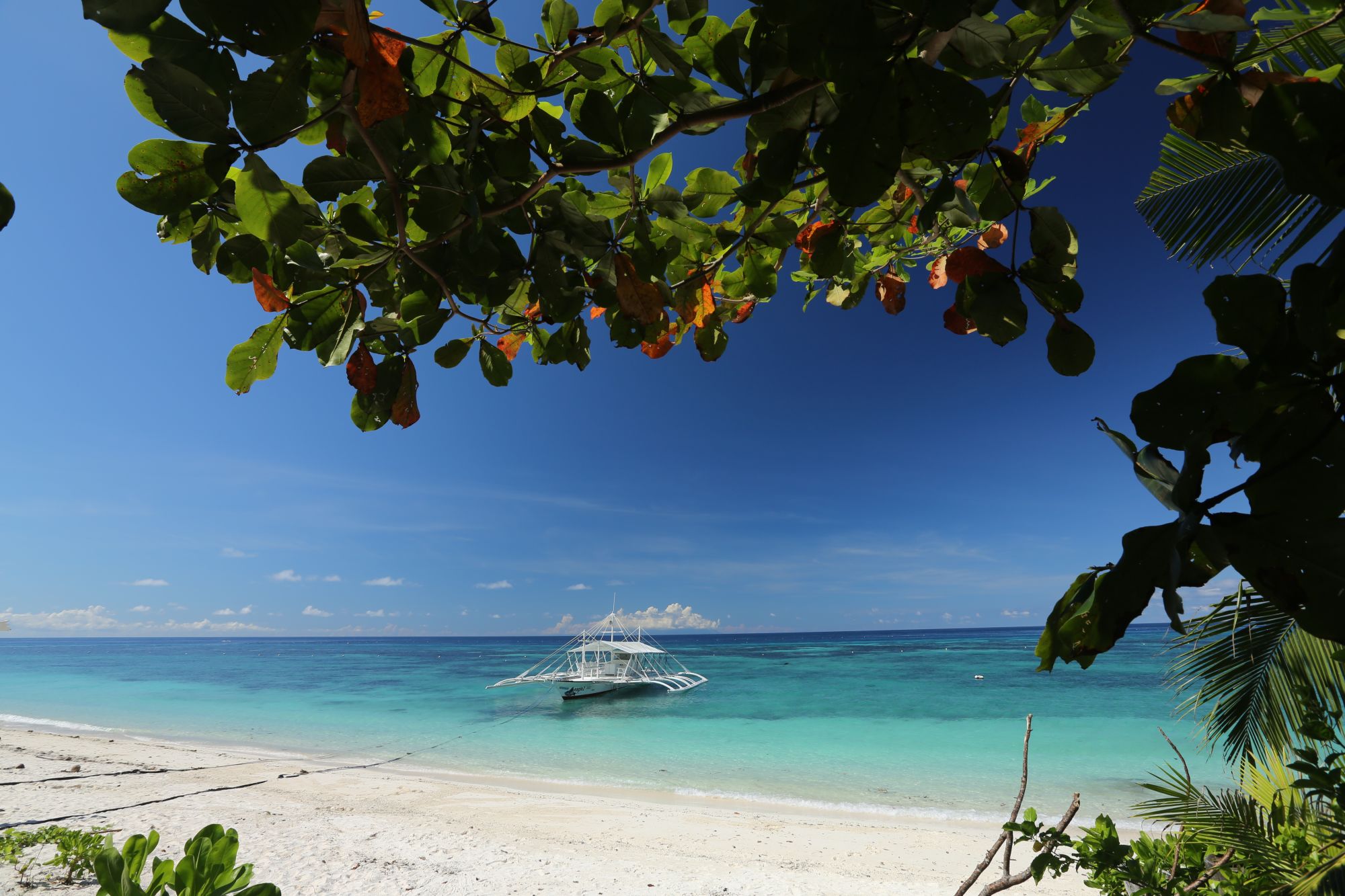 Amun Ini Beach Resort & Spa à Bohol: Dive & Snorkel Trip