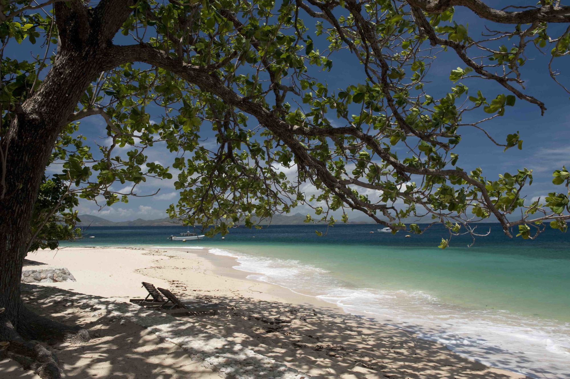 Flower Island Resort in Palawan: Beach