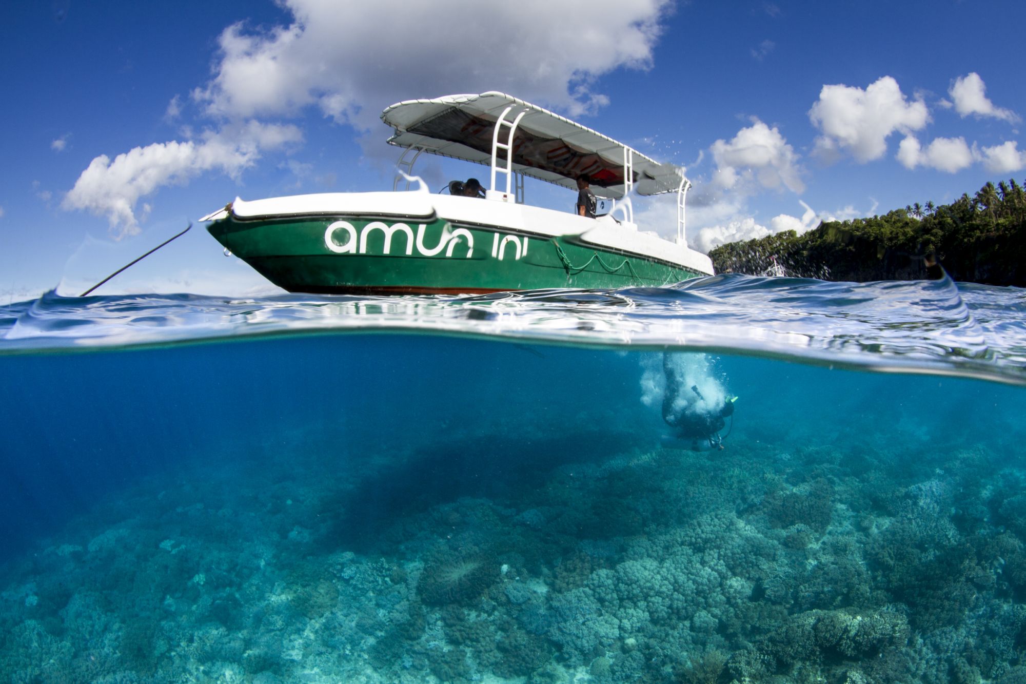 Amun Ini Beach Resort & Spa à Bohol: Diving